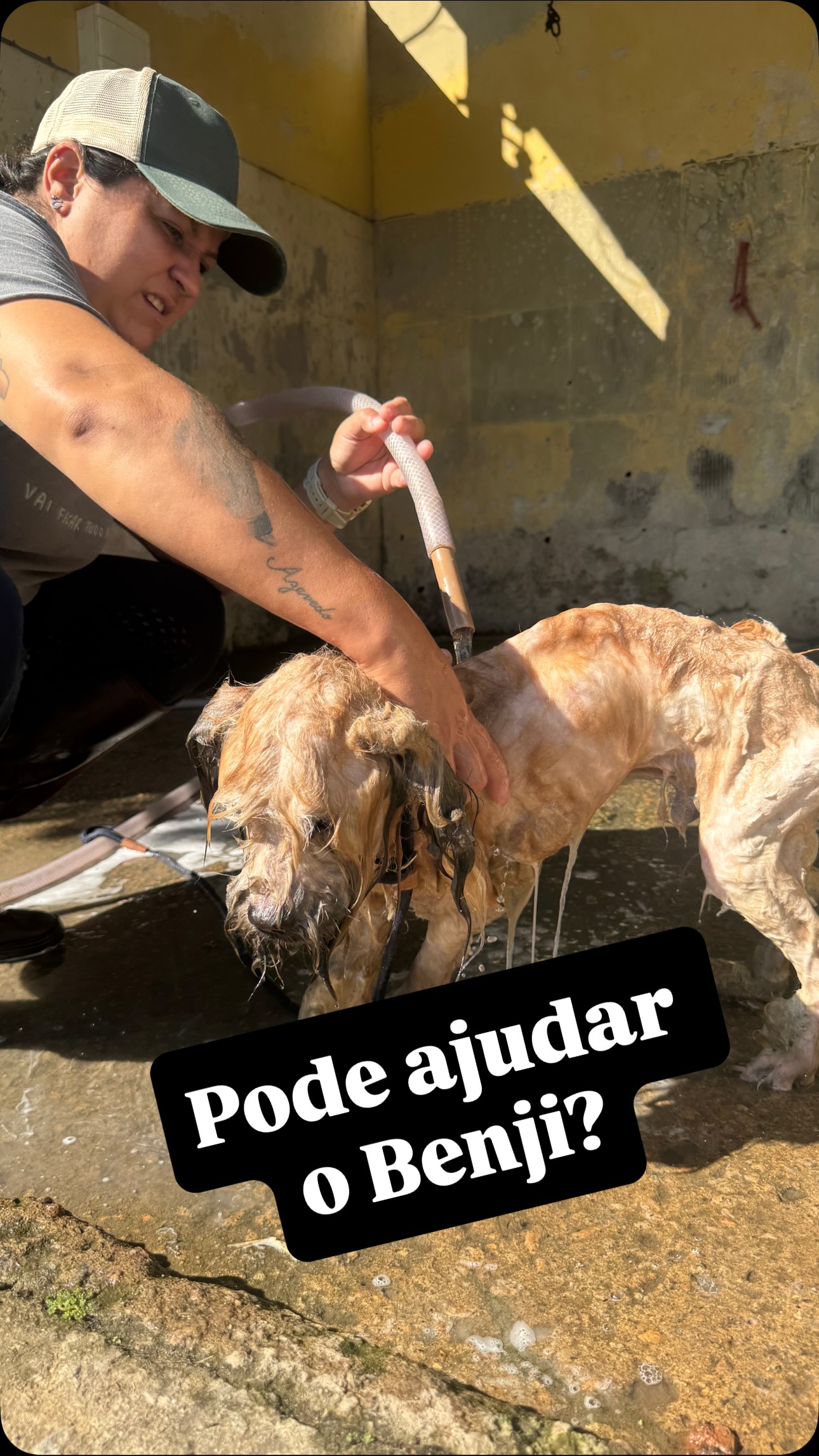O dia hoje foi difícil demais para legendas longas, então fiz um áudio e espero que ouçam e opinem… e se puderem ajudar, acreditem, será a ajuda que tanto precisamos para que possamos seguir em frente.
Seja bem vindo Benji, agora você é um Garrinho e já é muito amado por essa família incrível de Garristas.