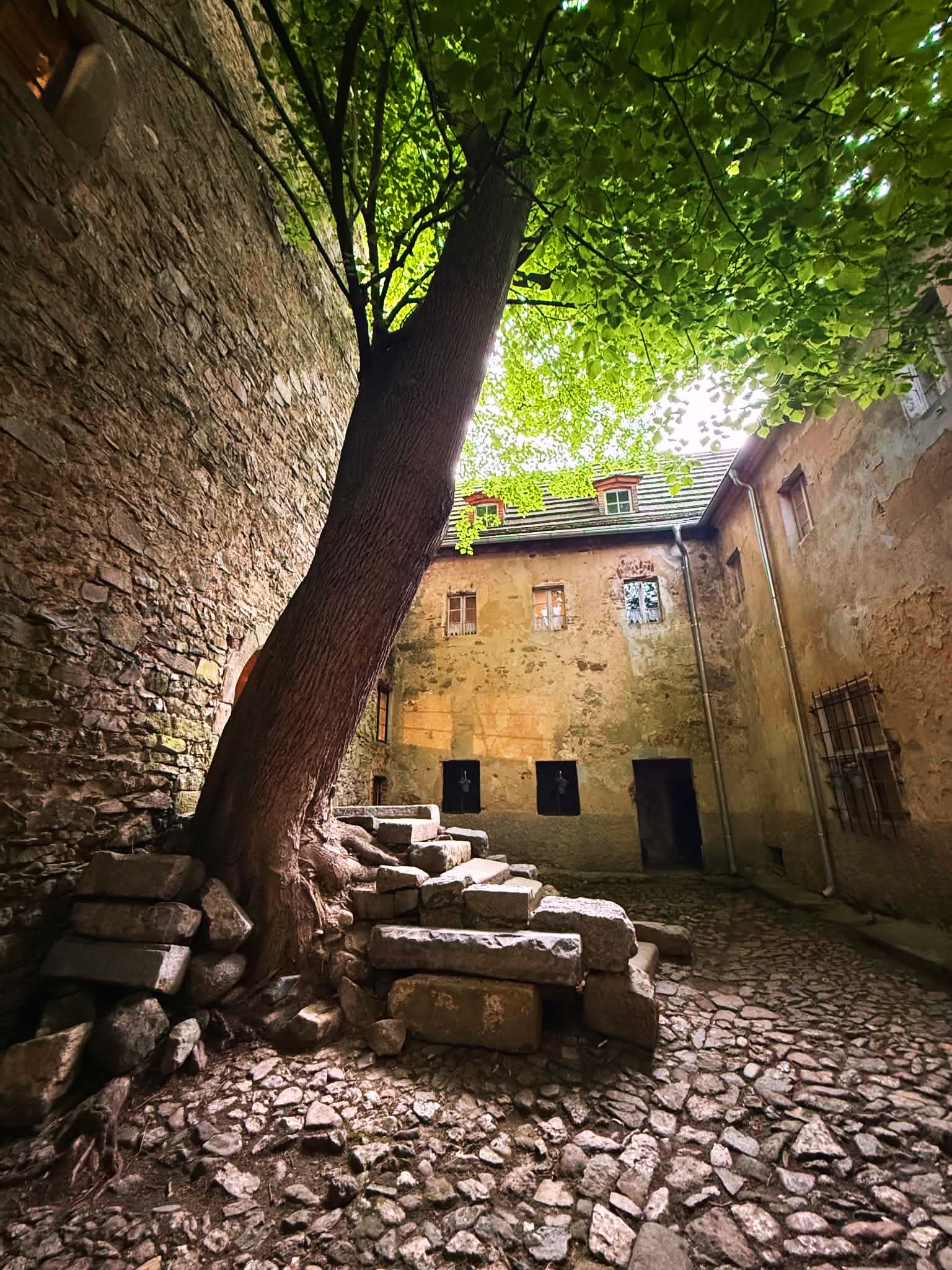 🍀 Wczoraj mieliśmy okazję odwiedzić naszych Przyjaciół z @wieza_siedlecin
🏰 Bardzo ciekawe prelekcje w tym na temat, jak ten wspaniały średniowieczny budynek, dzięki pasji i zaangażowaniu osób takich jak doktor Przemysław Nocuń, stał się źródłem wiedzy historycznej, miejscem badań naukowych ale także centrum społeczności wolontariuszy, którzy rok w rok wspierają prace prowadzone w Wieży.
Nic więc dziwnego, że Narodowy Instytut Dziedzictwa wybrał właśnie to miejsce na ogólnopolską inaugurację Europejskich Dni Archeologii.
Dziękujemy za zaproszenie i polecamy każdemu, kto zagości tego lata na Dolnym Śląsku!
#f8m #innovationmanor