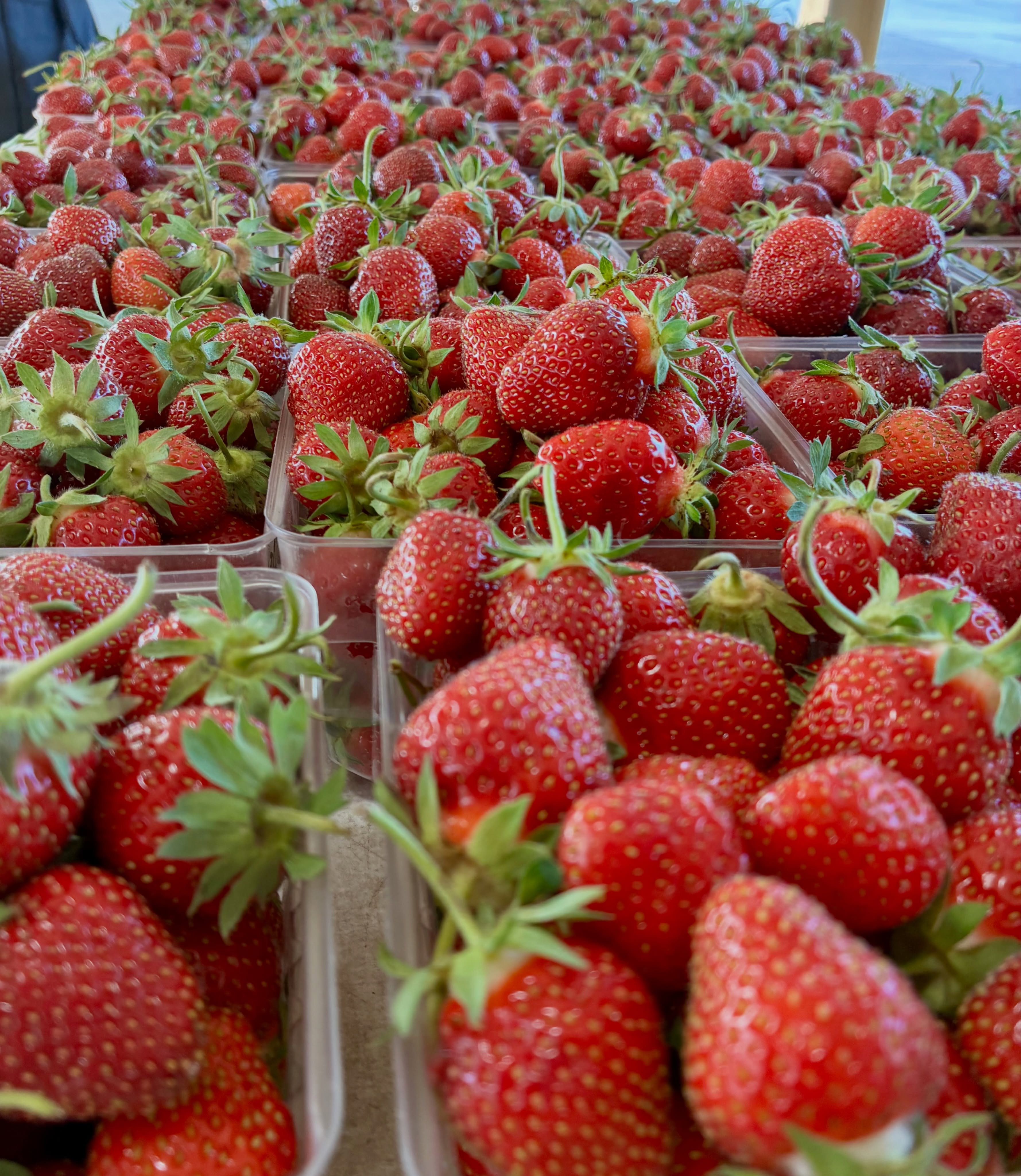 The market day we’ve all been waiting for is here! 🍓Strawberries are finally in and everything else is fresh and abundant at the market, from the snapdragons to the snap peas. Vendors are at the market until 1 all weekend long.