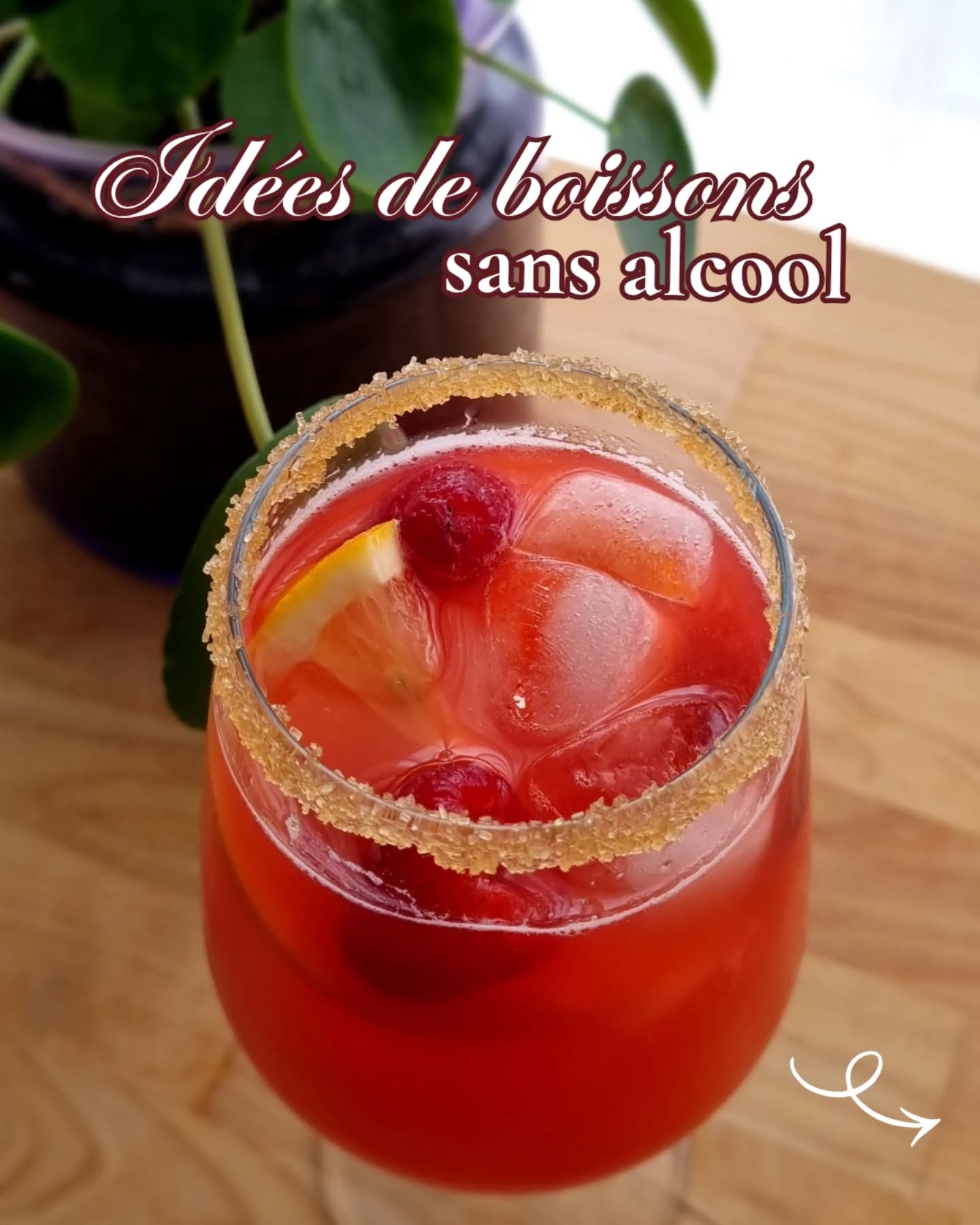 Quelle boisson vous tente le plus ? 🫖🍹🌿
Les thés et les infusions sont parfait.e.s pour accompager les apéros de votre été 🤗🌞
1. Tous les thés peuvent se faire en thé glacé 🧊
2. Toutes les infusions se préparent en froid 🌿
3. Tea mocktail aux fruits rouges avec le thé noir "4 fruits rouges" ou "3 fruits noirs" 🍒
4. Thé glacé aux agrumes avec le thé vert "lundi light" ou le thé noir "Summer blend" 🍋
5. Thé glacé à la pêche et à la poire avec le thé noir "Spring blend" 🍐🍑
6. Infusion froide aux fruits rouges avec les eaux de fruits "Verger" ou "Farandole" 🍓
7. Tea mocktail au jasmin et à l'orange avec le thé vert "Jasmin Chung Hao" 🍊
Tous les thés et infusions sont disponibles en boutique au 27 rue Marceau à Tours ou sur la boutique en ligne (lien en bio) | Betjeman & Barton 🫖🍹🧊
#betjemanandbarton #boissonsansalcool #toursmaville #theglace #mocktail