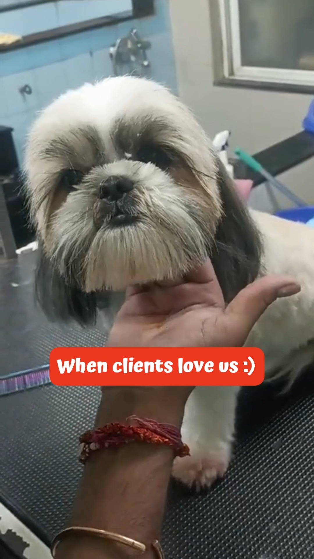 Hits different when pets trust us completely to take care of them. 💛
#cessnalifelineveterinaryhospital #cessnalifeline #cessnapetretreat #doggielove #kittylove #snippetsfromwork
