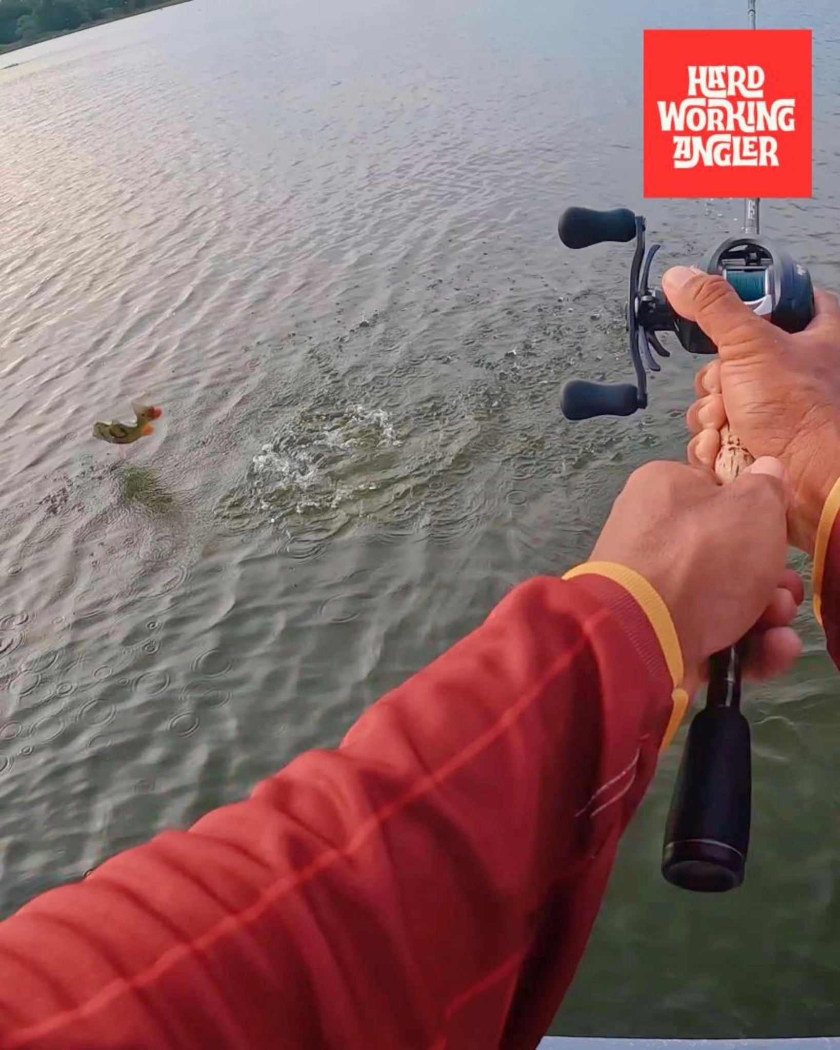 Peacock bass on! Everything felt right... until it wasn't. One head shake at the boat and the fish was gone. See you again, buddy.
Visit our website for more informations on our fishing trip - https://www.hardworkingangler.com
#peacockbassfishingguidemalaysia #hardworkingangler #toman #giantsnakehead #peacockbass #visitmalaysia