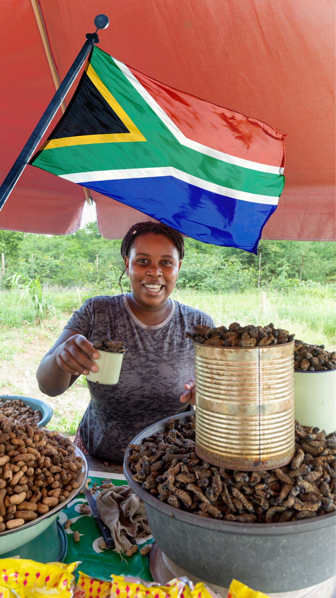 Os insetos podem ser o FUTURO da alimentação? 🐛🇿🇦
Na África do Sul, os vermes mopane fazem parte da cultura alimentar há séculos - e hoje também entraram no radar mundial da sustentabilidade.
A farinha de lagarta seca pode chegar a cerca de:
👉 73g de proteína por 100g
👉 além de 11 vitaminas e minerais importantes
Tudo isso com potencial de menor impacto ambiental quando comparado à produção tradicional de carne.
Por isso os insetos vêm sendo estudados como uma das tendências mundiais pensando em:
- segurança alimentar;
- crescimento populacional;
- sustentabilidade.
#copadomundo #africadosul #insetos #curiosidades #alimentos