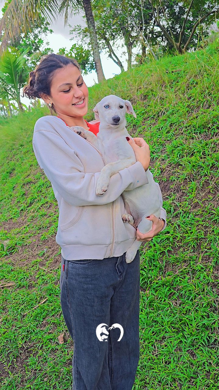 Quem vai adotar a Beijinho? 🐾🐾❤️
Preencha formulário de adoção no link da bio.
#adoteporamor #adote #garrinhos #onggarra