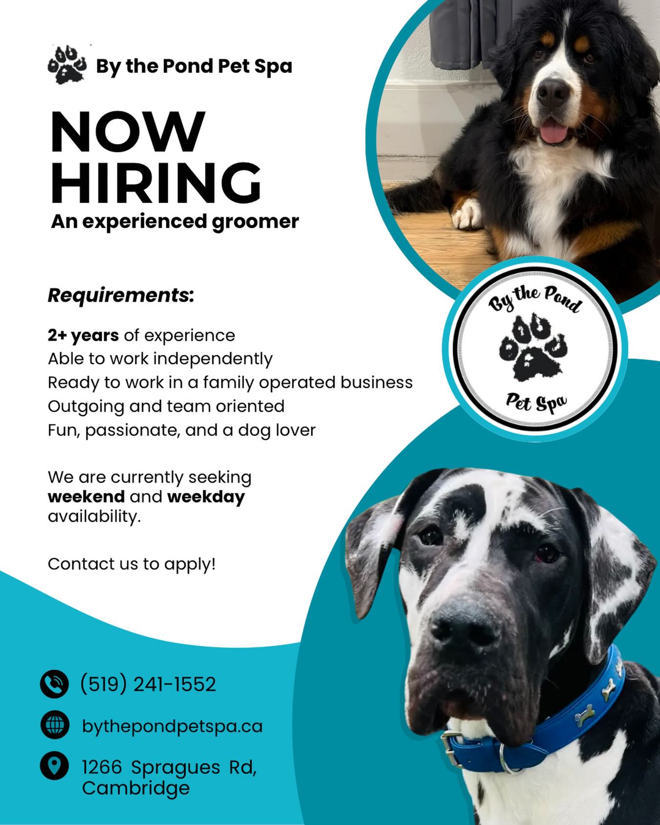 We’re hiring! If you’re an experienced dog groomer looking to work in a professional environment, please reach out to us via email or phone. 🐾
#cambridgeontario #doggroomers #hiring #doggroomerlife✂️ #dogs