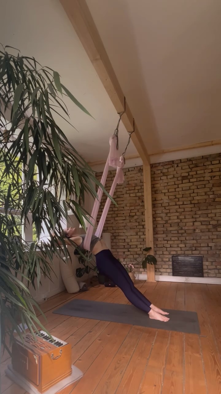 Haven’t tried Aerial Yoga yet? This is your sign! 🧚
Join me at Le Studio to experience the numerous benefits of this anti-gravity and playful yoga practice.
Check schedule and book your spot here: www.aureyoga.com