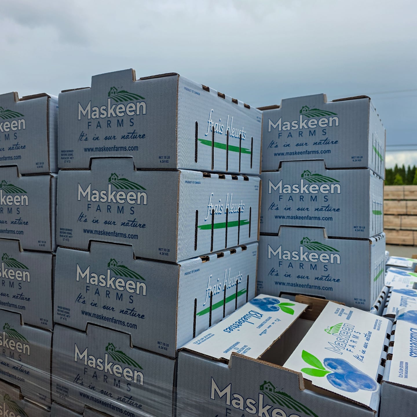 A lot of work goes into harvest season before we ever pick a single berry.
Today it’s all about the logistics, getting our custom boxes assembled, stacked, and staged. When the fruit is ready, we’ll be ready to move fast and bring you the freshest quality possible straight from our fields.
Stay tuned for opening dates and farm stand updates coming soon! ➡️
www.maskeenfarms.com
.
.
.
#BCAgriculture #BehindTheScenes #FraserValleyFarming #LocalProduce #FreshIsBest