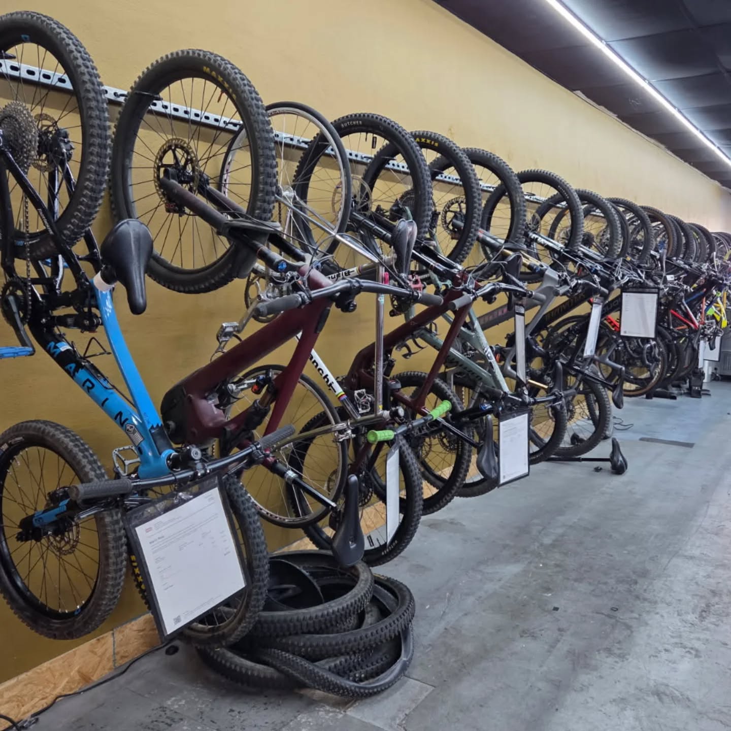 Weekend rides are calling! There's still time to get your bike tuned, serviced, and trail-ready. Stop by today and let us help keep your bike performing at its best.
Service Center:
109 S. Harbor Blvd.
Fullerton, CA 92832
#bikeupgrades #bikemaintenance #mtblife #parkseason