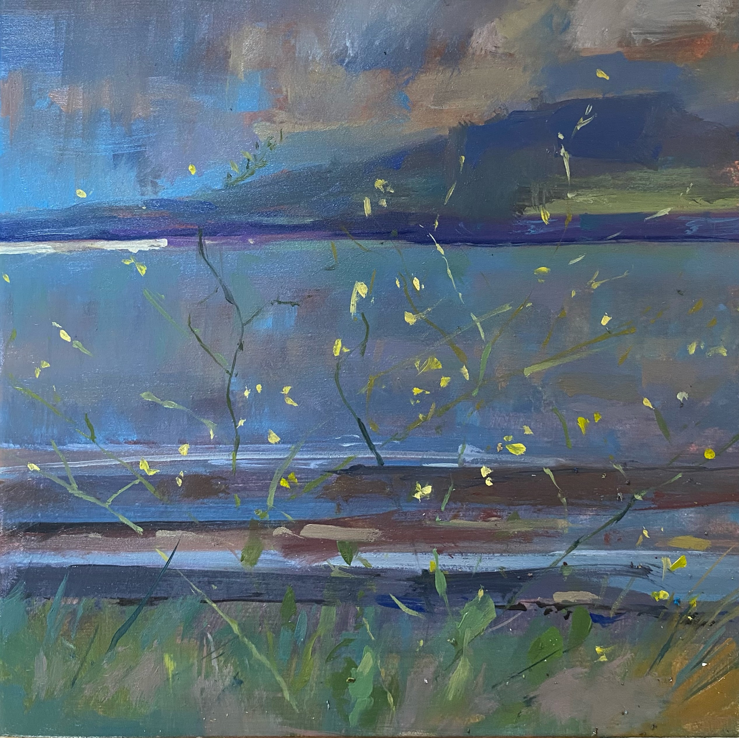 I was down by Beckfoot this morning, i was drawn to those yellows dancing on wiry stems against the horizontal lines and the distant blues.