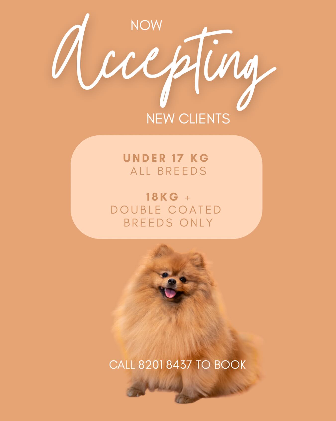 🚨 THIS IS NOT A DRILL 🚨
After what feels like 47 dog years… we’re officially accepting NEW CLIENTS again! 🎉🐾
That’s right. The waitlist has finally loosened its grip, and we have opened up a limited number of appointments for new furry friends.
Is your dog looking a little more “werewolf” than “well-groomed”? 🐺
Can you no longer see their eyes? 👀
Have strangers started asking what breed your mop is? 🧹
If so, we’re here to help!
At The Dapper Dog Grooming & Spa, we don’t just focus on making dogs look amazing—we focus on helping them feel comfortable too. ❤️
✨ Fear Free grooming techniques
✨ Patient, gentle handling
✨ Luxury grooming experience
✨ Natural products
✨ Plenty of treats, encouragement, and breaks when needed
Our goal is to make grooming a positive experience, especially for nervous, anxious, or sensitive dogs. Because a dog who feels safe is a dog who can truly shine. 🐾
Be quick though—these appointments won’t last long, and our regulars have a habit of telling all their dog park friends about us. 😉
📞 Contact us today to secure your spot before they’re gone faster than a treat dropped on the kitchen floor.
#NowAcceptingNewClients #TheDapperDog #FearFreeGrooming #DogGrooming #DogSpa HappyDogs GentleGrooming MelbourneDogs SpoiledDogs
: