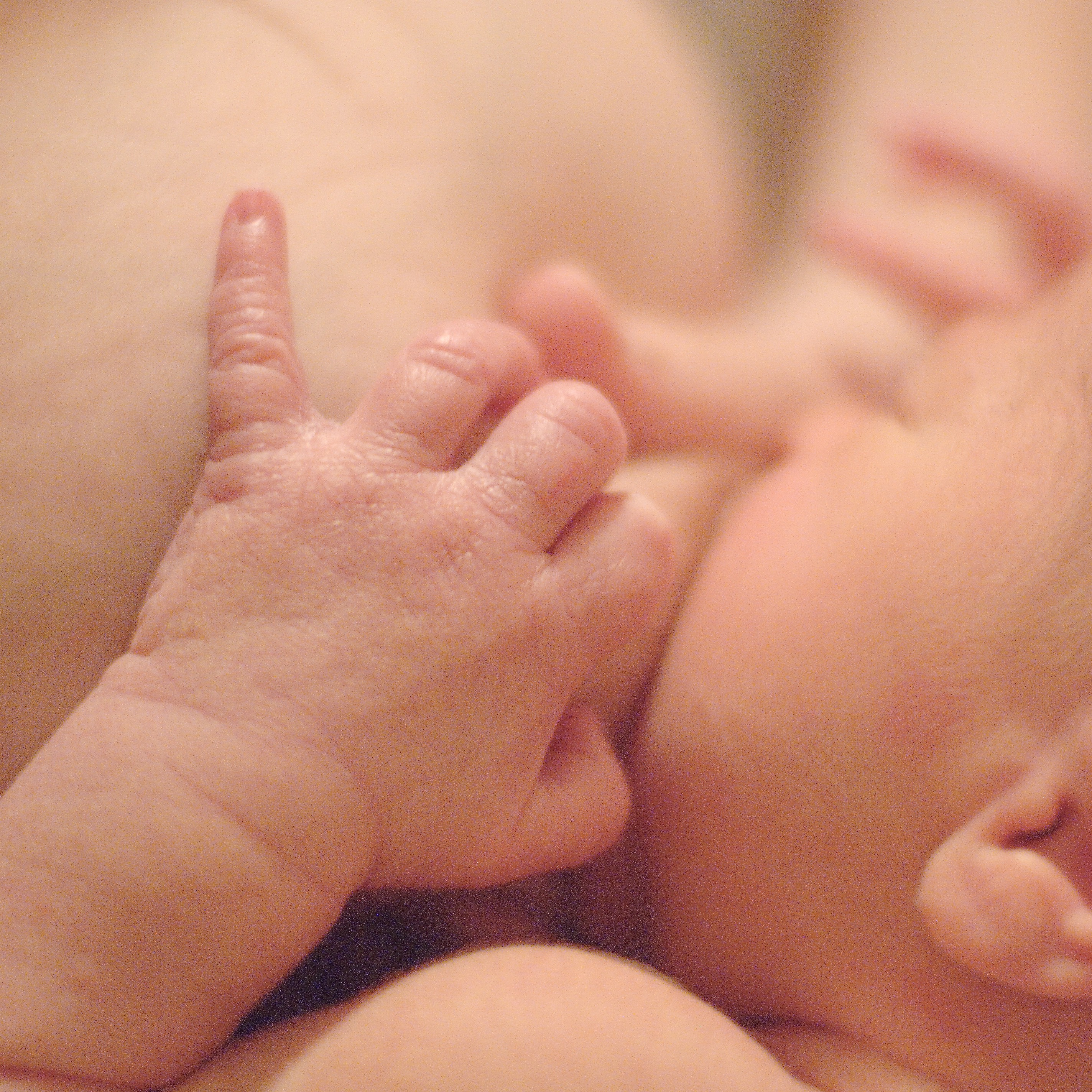 Stillen macht den Unterschied. 🤍
Muttermilch ist weit mehr als Nahrung. Sie unterstützt das Immunsystem, fördert die gesunde Entwicklung des Babys und bringt auch für Mütter zahlreiche gesundheitliche Vorteile mit sich.
Was viele nicht wissen: Die Weichen für eine erfolgreiche Stillzeit werden oft bereits in den ersten Stunden nach der Geburt und während der ersten 14 Tage im Wochenbett gestellt. Schwierigkeiten beim Anlegen, Schmerzen oder eine unzureichende Milchbildung sollten deshalb nicht einfach ausgesessen werden.
Stillen ist natürlich – aber nicht immer einfach. Gute Vorbereitung und frühe Unterstützung können einen entscheidenden Unterschied machen.
In meinem neuen Blogartikel erfährst du, warum der Stillstart so wichtig ist und wie du die besten Voraussetzungen für eine entspannte Stillzeit schaffen kannst.
🌿 Vorbereitung gibt Sicherheit.
🌿 Frühe Hilfe verhindert oft größere Probleme.
🌿 Du musst Herausforderungen nicht allein bewältigen.
👉 Den Link zum Blog findest du in meiner Bio.
#Stillen #Stillberatung #Stillvorbereitung #Wochenbett #Bindungsorientiert #Muttermilch #Babygesundheit #Elternwerden #Stillstart #Wochenbettbegleitung #StillenIstMehrAlsNahrung #DanielaSchramm #TeltowFläming #Familienbegleitung #Stillwissen