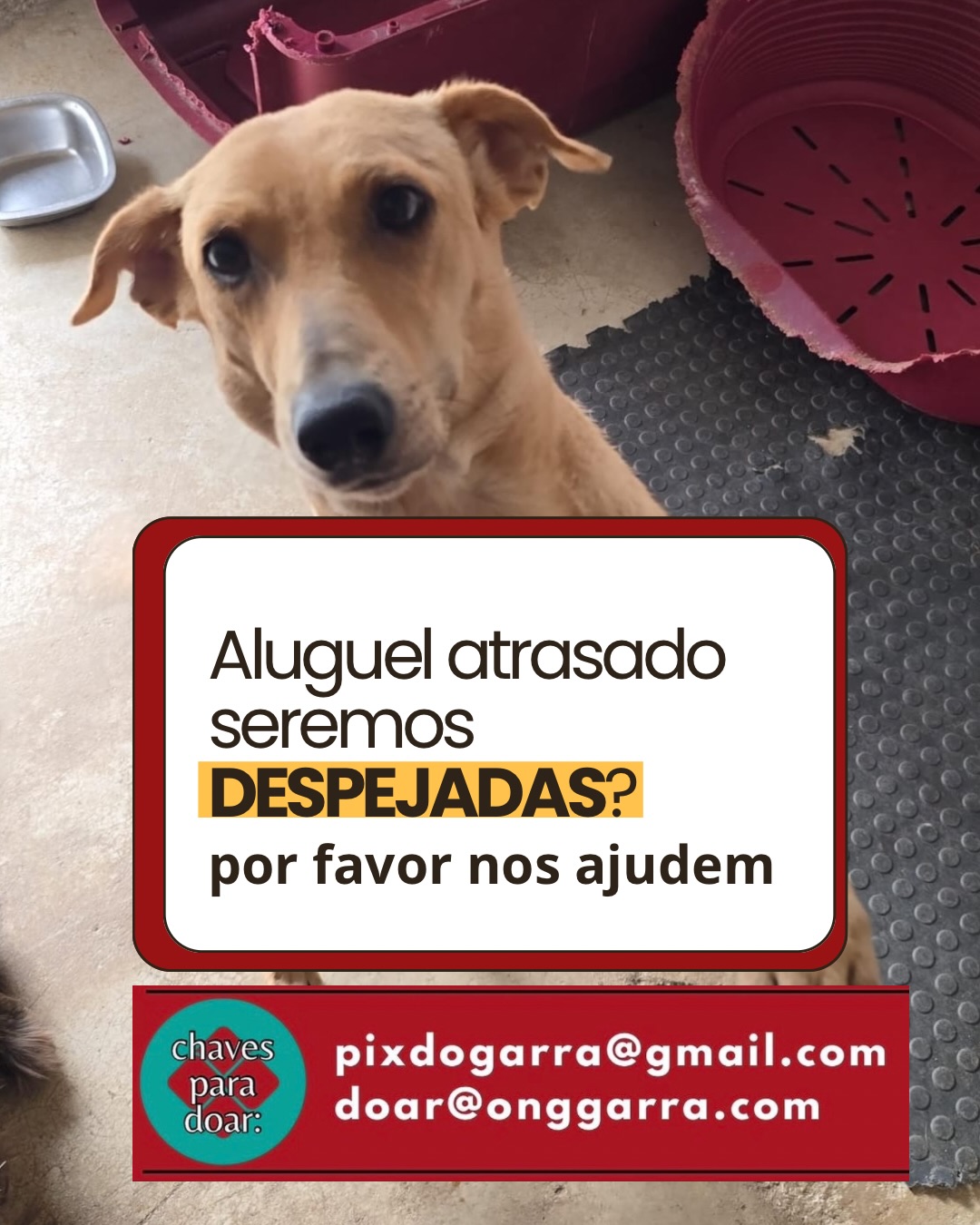 Já não sabemos mais o que fazer💔