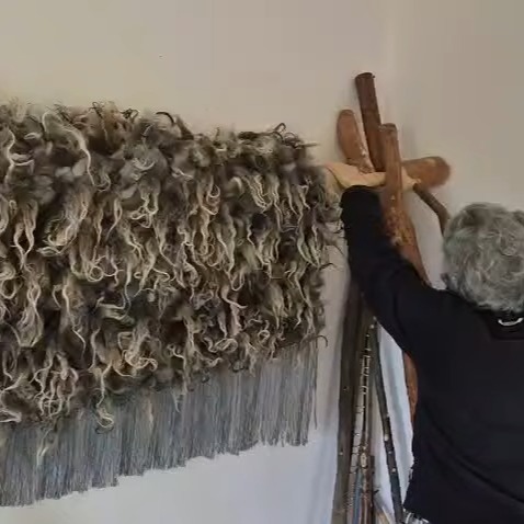 I’m taking my most recent #vararfeldrexhibition creation off the loom! This one is my interpretation of the instructions in the old Icelandic lawbook Gragas, which call for “trade cloaks” to measure four thumb ells long and two broad, which equates to 204 x 102 cm, with 13 locks per row.
The Icelandic textile expert Elsa E. Gudjonsson suggests that these locks would have been "brushed to one side to lie vertically in thirteen horizontal rows when the cloak was worn."
Based on this, I concluded that the law texts refer to length and width on the loom, and that the cloaks would have been turned on their sides when finished, to measure 102cm top to bottom, and 204cm across.
This way round, the coverage afforded by the locks is much better, and the length is much easier to move around in. The width allows for plenty of overlap across the chest, which would have been extra cosy against the elements!
#handwoven #weaver #vikingcloak #vararfeldr #vikingweaving #vikingcraft #heritagecraft