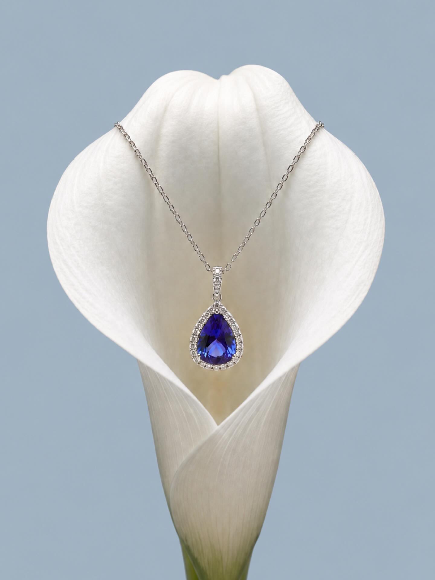A drop of deep blue brilliance.
This pear-cut 3.00ct tanzanite and diamond pendant captures the kind of elegance that never asks for attention, yet always receives it.
Refined, radiant, and timelessly beautiful, a piece designed to be treasured.
📞 012 460 7231
📧 mmf@alexa.co.za
🌐 www.viennajewellers.com
#ViennaJewellers #TanzanitePendant #DiamondPendant #PearCutTanzanite #LuxuryJewellery