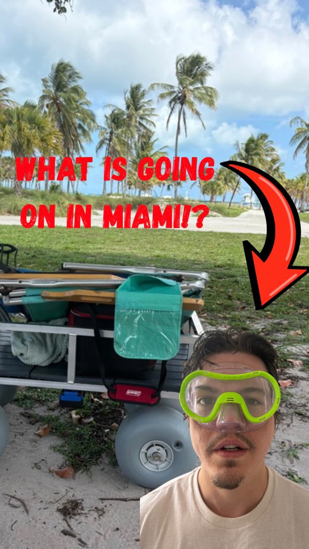 The Mule are bucking in Miami!!🫏 If you want to make your beach trips %100 more relaxing this summer, check out our website at www.thebeachmule.com!!🤩⚡️🌊#beach #florida #fishing #summer #beachlife