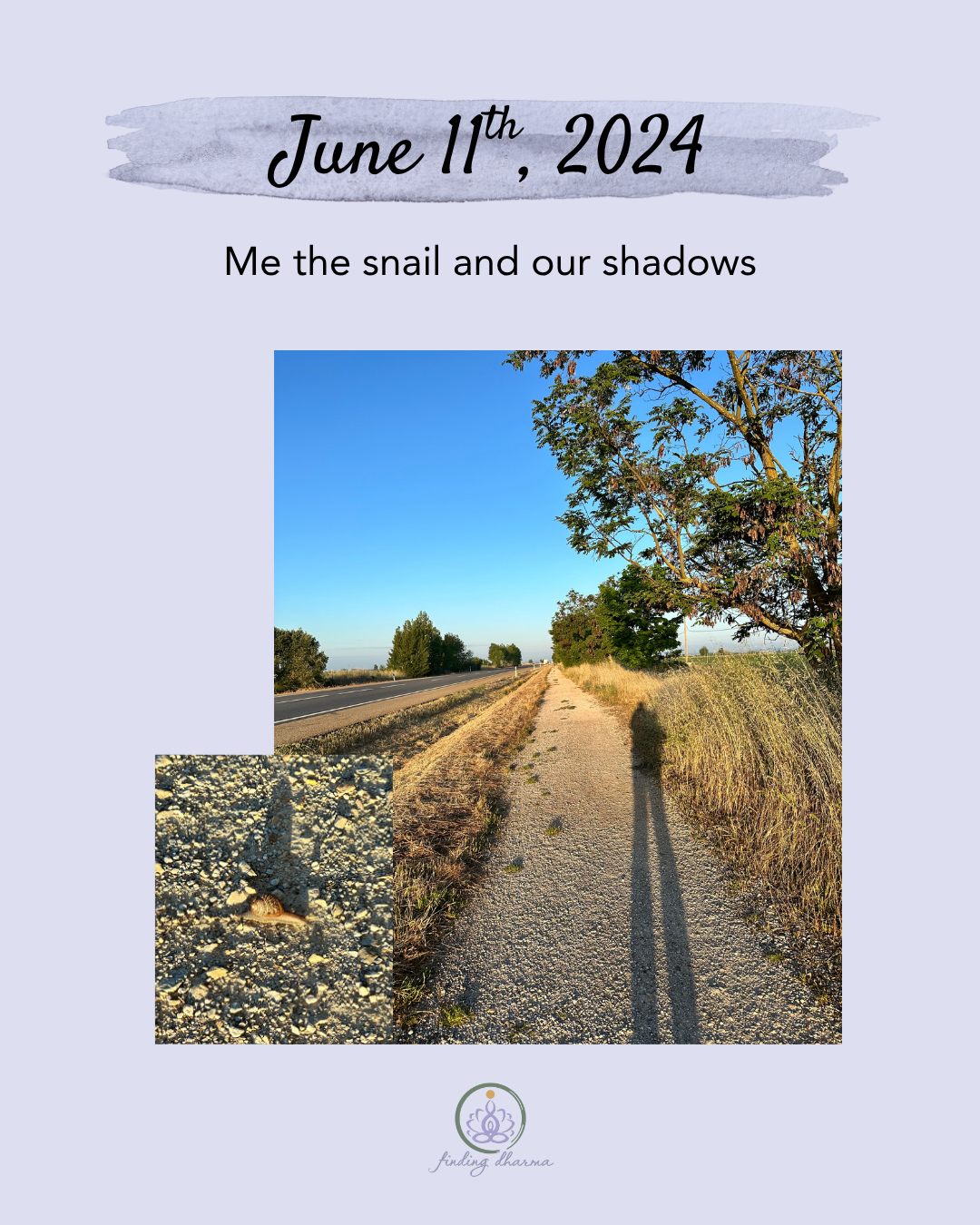 Left early this morning to start my walk. It was an average day’s walk for me and relatively easy. My destination was Astorga which means the Meseta is truly over. Tomorrow the forests return! 🌲 🌳 🌞
Along the way you often see shoes and boots left behind, abandoned because the pilgrim could no longer walk in them.
And a snail and its shadow in the early morning.
Okay! One of my favorite historical stories yet on the Camino!
In the 15th century, a knight, Don Suero de Quiñones fell in love with a young woman who didn’t return his affection. In response, every Thursday he donned a metal collar and fasted. When that wasn’t enough, he then put out a challenge to all knights to come to this bridge and joust with him. When he had won 300 jousts, he would be honorable again. This became known as the tournament of Honorable Passage (“What is your favorite color?” a la Monty Python).
The king declared he had won after 200 jousts because he didn’t want his jousts to interfere with their annual cattle drive. The knight then was sent on a pilgrimage to Santiago where he presented his bejeweled metal collar which is displayed in the Santiago Museum.
Look who was on the Way with me today!! The donkey returns 🫏💕 He was slowly walking up the hill. Every few steps taking some of the grass and munching it as he slowly walked to join his friend waiting for him at the top. If you look close, you can see the grass hanging out of his mouth 😊
It was a little different landscape today. Still farm fields but also scrub brush and new growth forests that had been replanted (all in rows 🙄).
I was taken by the kind of grains planted here. They had this sea green color. I don’t know if you can tell in some of the photos.
Heading into Astorga and you can see it in the background in the cross photo. The green foot bridge helped us cross over the train tracks. Astorga is a hill town - so up I went to find my hostal!
Made it! First things first - take shoes off and rest my feet! After a shower and a nice siesta they usually feel much better!
#knightsandjousting #CaminodeSantiago #WalkingacrossSpain #findingdharma