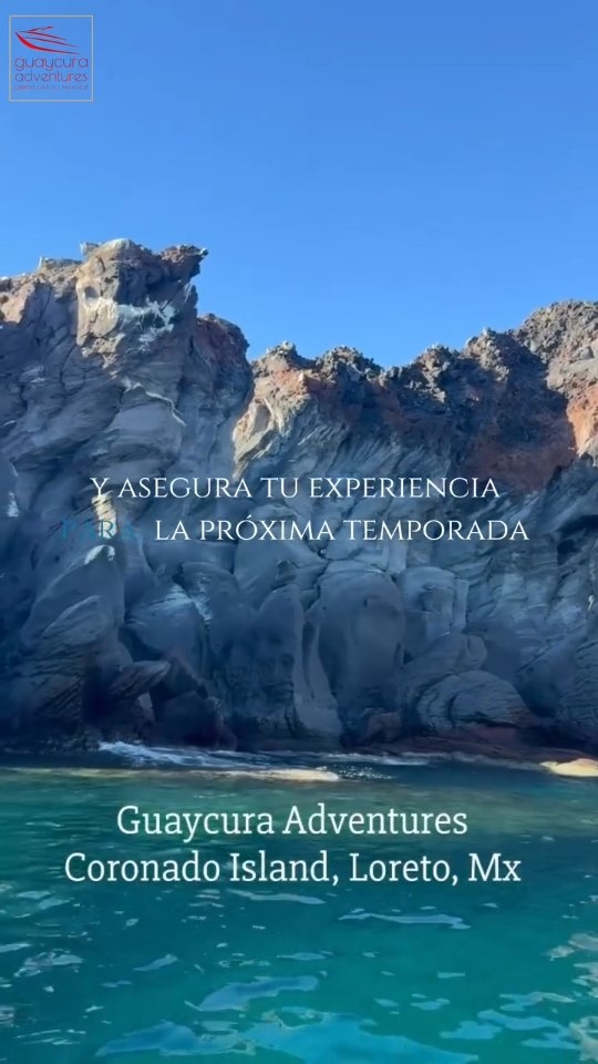 Hay lugares donde la naturaleza todavía conserva toda su fuerza y belleza. Loreto es uno de ellos. 🌊💚
● Descubre las islas del Parque Nacional Bahía de Loreto, una de las áreas naturales protegidas más importantes de México, reconocida por su extraordinaria biodiversidad y los impresionantes paisajes del Mar de Cortés, conocido mundialmente como "El Acuario del Mundo".
🌊 Cada isla ofrece una experiencia diferente, donde el desierto se fusiona con el océano para crear paisajes únicos de montañas, acantilados y playas prácticamente intactas.
Y si quieres planear tu próxima aventura con anticipación, ya puedes reservar para la temporada de avistamiento de ballenas, que se realiza de enero a marzo.
🌊🇲🇽 Durante estos meses, las aguas de Loreto reciben a algunas de las especies más impresionantes del océano durante su migración anual, ofreciendo encuentros verdaderamente inolvidables.
⚠️La observación de fauna se realiza de manera responsable, respetando las distancias establecidas y contribuyendo a la conservación de las especies y su entorno natural.
🚤 10% OFF con código: 4MTR4
📲 613 124 4158
guaycura-adventures.com
#DíaMundialDeLosOcéanos
#LoretoBCS
#MarDeCortés
#TourALasIslas
#BajaCaliforniaSur 🇲🇽