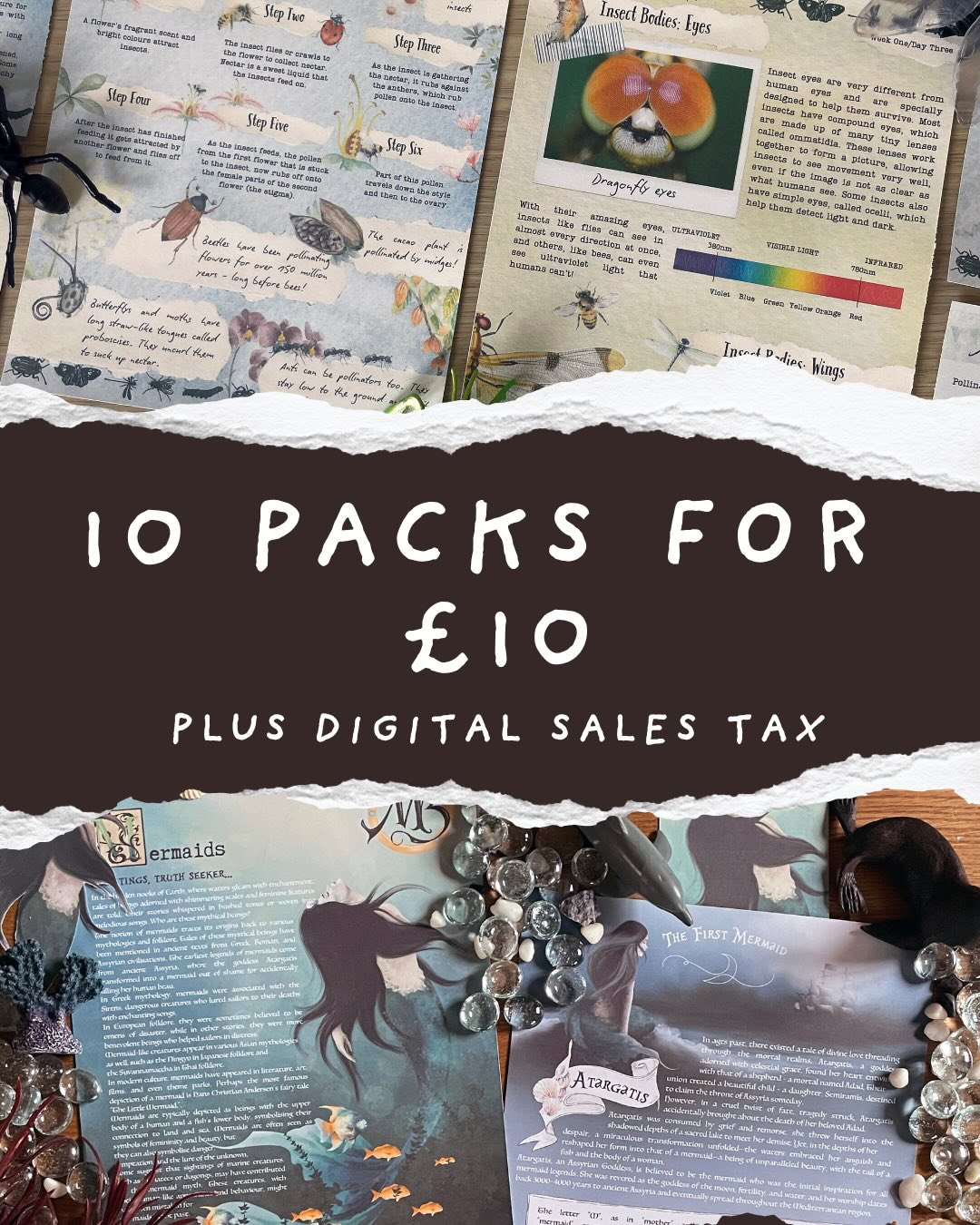 🌟 SPECIAL OFFER 🌟 10 lesson plans (of your choice) for only £10.00!!! Offer is for one week. Don’t miss out. #specialoffer #lessonplans #learningresources