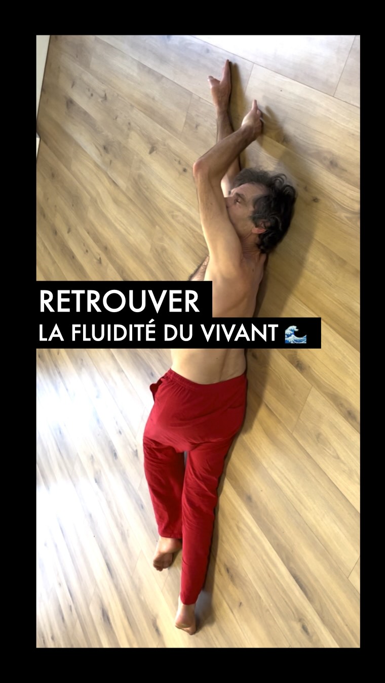 Retrouver la fluidité du vivant... 🌊
Le mouvement n’est pas une forme à imiter
c’est une relation à explorer 🌾
Dans cette vidéo, Serge explore la fluidité brute du corps au sol.
Ce travail en ondulations et en torsions organiques n’est pas une suite de postures passives. C’est une rééducation profonde : apprendre à utiliser la poussée des appuis corrects pour laisser le mouvement se découvrir par le jeu avec la gravité.
La Yogathérapie posturale, le recherche de l’Aplomb ou de la verticalité naturelle ne cherche pas la fixité ni la rigidité géométrique imposée. Il redonne au rachis son ressort naturel en libérant le bassin et en déchargeant le système nerveux.
C’est exactement cette qualité de présence, de discernement anatomique et de reconstruction que nous explorons ensemble lors de nos immersions.
✨ Stage d’été – Fin août 24-27/08/2026
thème FLOW
Une parenthèse immersive pour quitter les schémas posturaux du quotidien, comprendre la mécanique de votre corps et reconstruire votre aplomb.
⚠️ Avis à notre communauté : nous pouvons encore accepté une à deux personnes pour nous rejoindre.
Si vous ressentez le besoin de vous offrir cet espace d’étude et de fluidité, écrivez-nous simplement « STAGE » en commentaire ou par message privé pour recevoir le programme complet.
Prenez soin de votre fluidité,
Cath & Serge
#Yogatherapie #Aplomb #flow #YogaAnatomie #Posturo