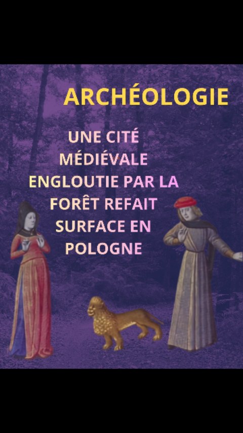Des archéologues ont retrouvé près de Sławoborze, en Pologne, les vestiges de Stolzenberg, une ville médiévale disparue depuis plusieurs siècles et longtemps considérée comme perdue. Après avoir recherché sans succès son emplacement dans l'actuelle localité de Sławoborze à partir de sources historiques, les chercheurs ont découvert, enfouis sous la forêt, d'importants remparts de terre ainsi qu'un fossé défensif profond de 5,5 mètres. Des études géophysiques récentes ont ensuite confirmé l'identification du site et dissipé les derniers doutes quant à sa localisation.
Les vestiges révèlent une véritable organisation urbaine, avec un réseau de rues structuré autour d'une place de marché. Les fouilles ont également mis au jour plus de 400 objets médiévaux, parmi lesquels des monnaies d'argent, des éléments de costume et divers outils, attestant de l'occupation de la cité. Si les causes de son abandon demeurent inconnues, les chercheurs estiment que Stolzenberg a disparu entre le XIVᵉ et le XVᵉ siècle. Cette découverte offre un témoignage exceptionnel sur l'urbanisme et la vie quotidienne d'une ville médiévale aujourd'hui oubliée.
#medievalart #medievalhistory #medievalarcheology #archeologie #medieval