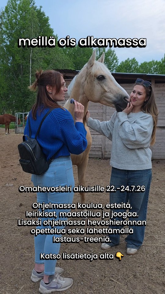 Kovan kysynnän vuoksi järkätään historian ensimmäinen omahevosleiri myös aikuisille 22.-24.7.26 Luvassa koulua, esteitä, leirikisat, maastoilua sekä joogaa. Lisäksi hevoshieronnan opettelua sekä lähettämällä lastaus-treeniä. Ohjaajana meidän ihana @amandakivelaeq ✨️ Ilmoittautuminen Happy Rider apin kautta kirjautuneena. 🐎✨️☀️ #kesäleiri #omahevonen #happyrider