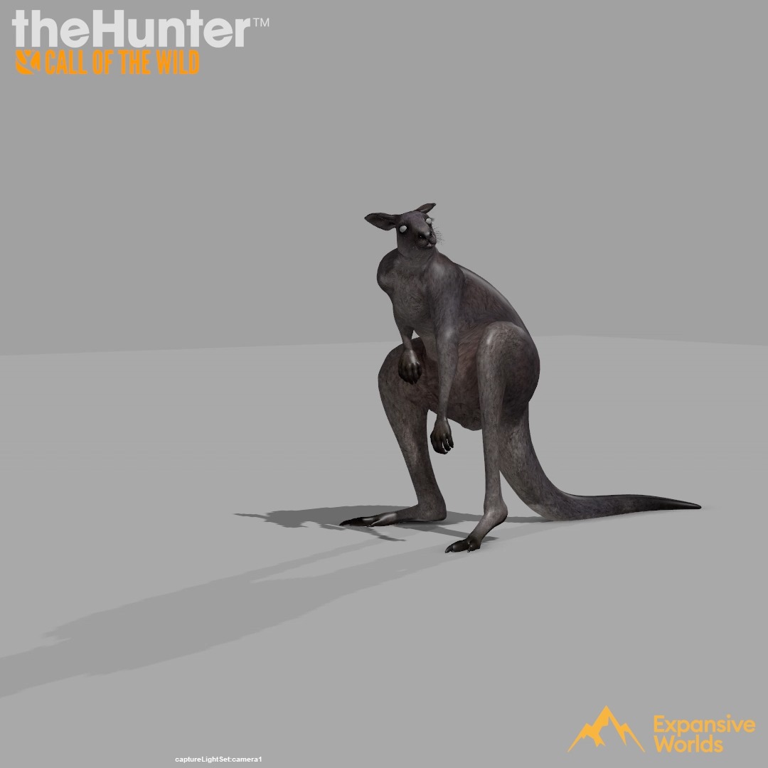 Four years of animating wildlife taught me something I never expected:
There is always room for exaggeration.
Working on theHunter: Call of the Wild, my job was to study and recreate animal behavior as faithfully as possible. Walking, eating, threatening, mating, feeding… every species came with its own fascinating set of rules and personality.
I loved that process.
Sometimes it even led to new gameplay ideas, like raccoons digging through trash cans or giving the bloodhound its own little celebration after successfully tracking down a trophy.
But over time, I became obsessed with something unexpected:
Death.
Or rather, how animals react when they're hurt.
And before you call animal control, hear me out.
After watching countless reference videos, I realized something surprising: despite all their differences, most animals seem to die in remarkably similar ways. Even more interesting, severely injured animals often show very little outward discomfort. They keep walking. They keep running. Sometimes almost as if nothing happened.
Real life is fascinating.
But games need communication.
Players need feedback.
So my challenge became:
"How dramatic can I be without breaking believability?"
I approached those animations almost like a theater director, asking every species to hold on for one last breath.
To fight until the very end.
To silently tell the player:
"Look what you've done to me."
I may have pushed things too far once or twice…
But those years taught me one of the most valuable lessons of my career:
Even in the most realistic experiences, animation still has room for drama.
And sometimes exaggeration is exactly what makes something feel alive.
#gameanimation #creatureanimation #animalanimation #gamedev #thehuntercallofthewild #animation