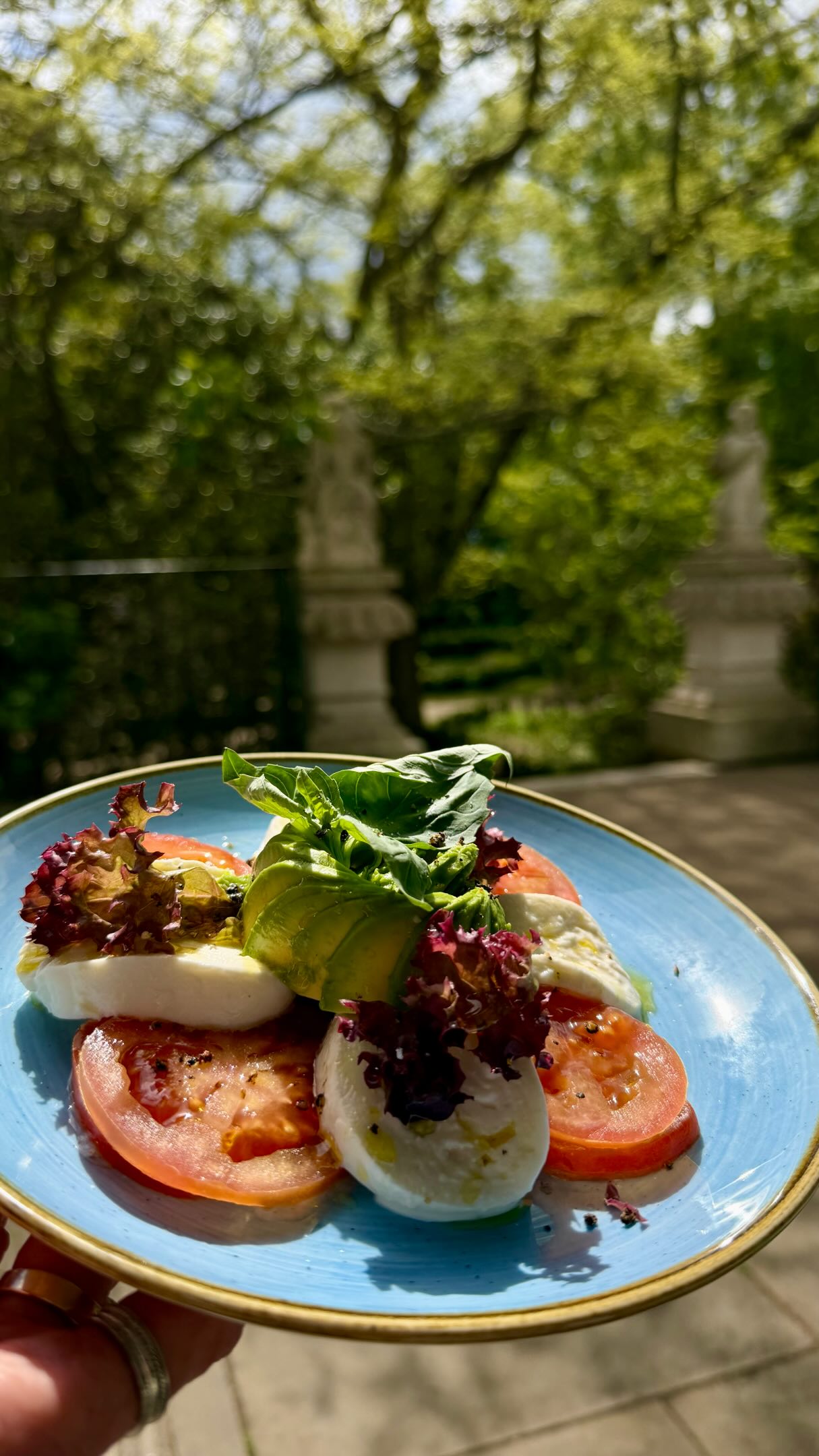 Our chefs are always coming up with new specials for the blackboards in our cafés 💕
Designed around fresh, seasonal ingredients and changing regularly, they’re a chance for the team to get creative and for you to try something new.
This tomato, mozzarella and avocado salad is fresh, colourful and made for sunny lunches ☀️
#northlondon #highgate #enfield #northlondonfood #londoncafe