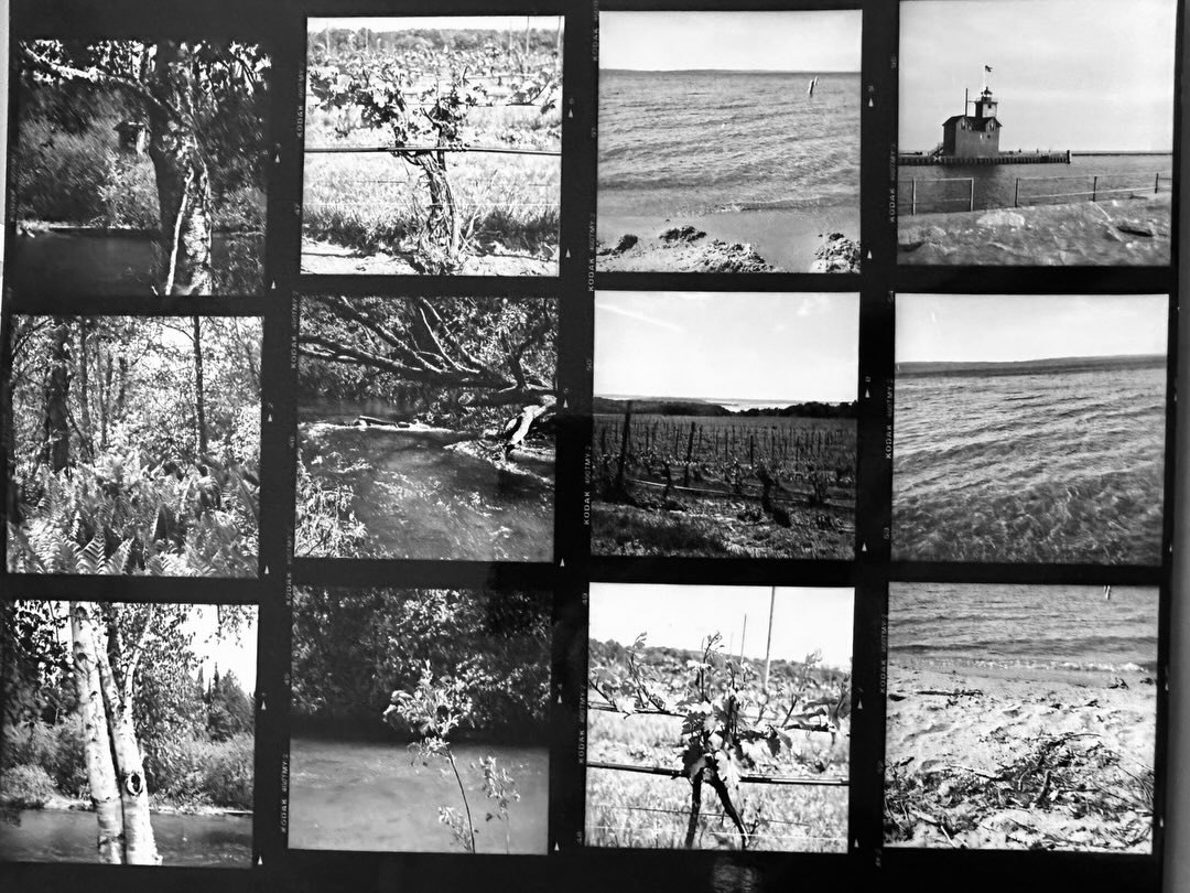 So happy with the way my new to me old twin lens reflex performed! Just developed the film yesterday 📷 #twinlensreflexcamera #analogphotography #blackandwhitefilm #janecampart