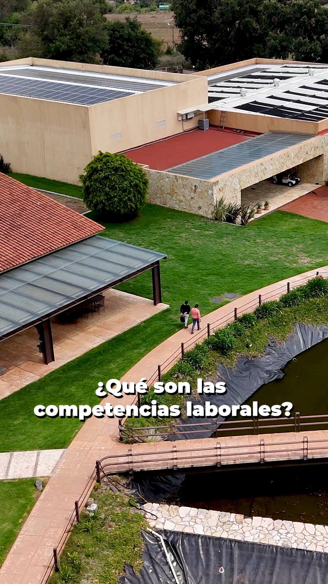 No todo se aprende en un salón. Las competencias laborales son las habilidades reales que aplicas todos los días: resolver, ejecutar, adaptarte. Eso es lo que se evalúa.
Comparte esto con alguien que domina su trabajo