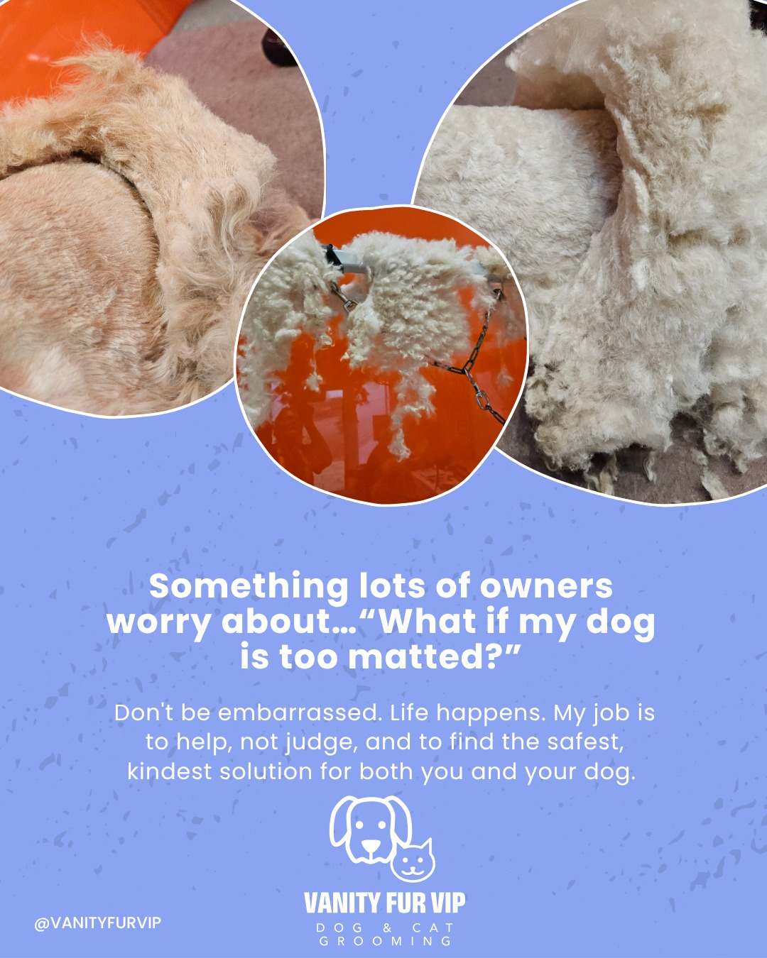🧡 Something lots of owners worry about… 🧡
“What if my dog is too matted?” I completely understand why owners worry about this.
Many people feel embarrassed or scared they’ll be judged for their dog’s coat condition. But here's the truth… life happens. We all have busy lives.
Sometimes a dog’s coat can feel fine one minute, then the next time you touch them you find knots and matting appearing seemingly overnight.
Certain coat types are prone to tangling quickly, especially after muddy walks, swimming, friction from harnesses, puppies coat changing, or even just sleeping.
I feel your pain with this because matting can creep up so much faster than people expect.
That’s why my focus is never about blame or making owners feel bad. Whatever the situation, your dog’s welfare and comfort always comes first.
At Vanity Fur VIP there's no judgement, no shaming and no making owners feel uncomfortable. I just want to help with advice, handling, and helping both you and your dog.
I’d always much rather someone reach out for help early than avoid grooming because they’re worried about being criticised.
➡️Have you ever worried about this before? Feel free to message me if you’re unsure about your dog’s coat, it can be sorted.
Love,
Melanie @ Vanity Fur VIP x
#vanityfurvip
#NorthYorkshireBusiness
#SupportLocalBusiness
#DogCoatCare
#DogCareTips