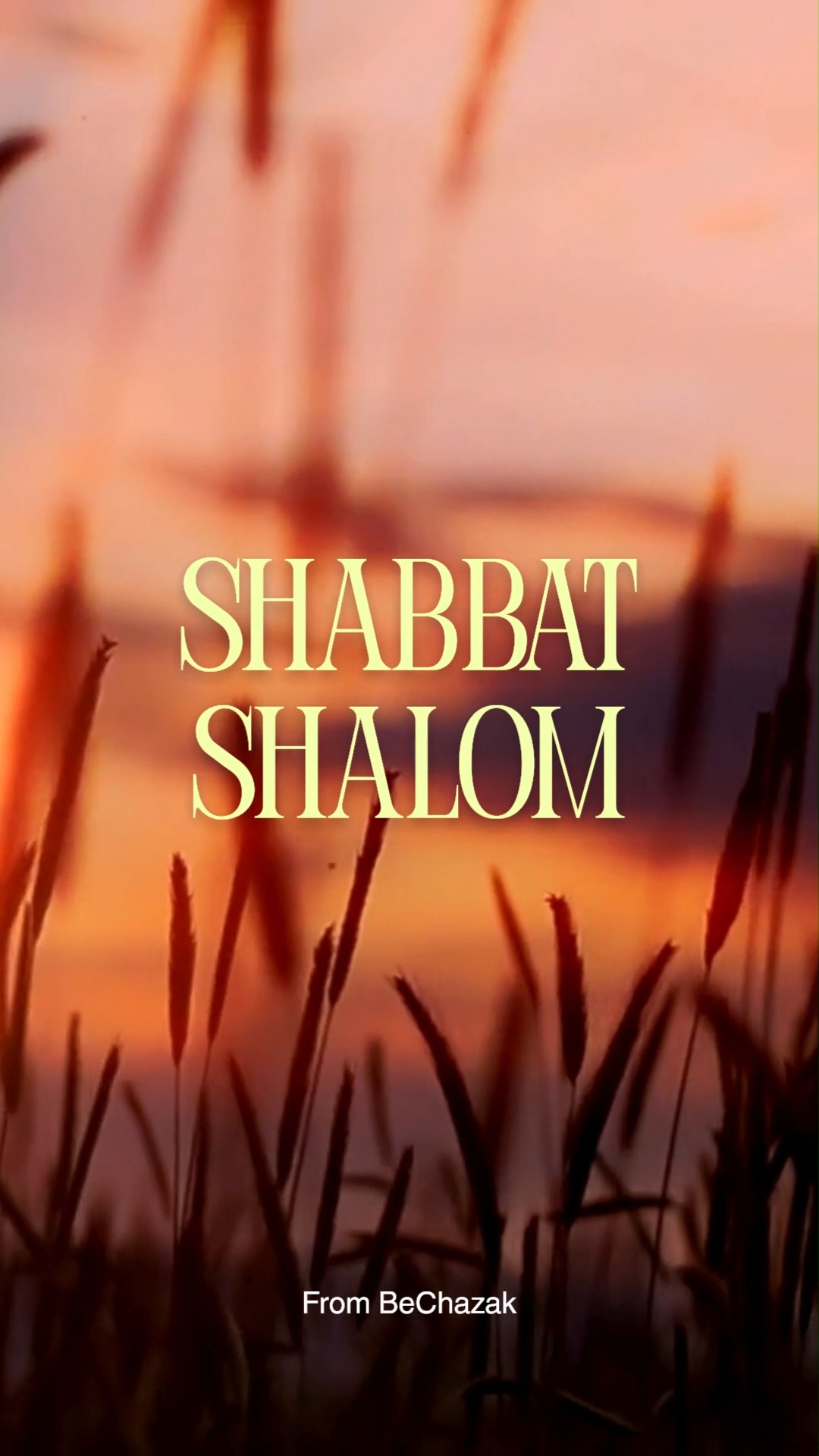 Shabbat Shalom, friends! May you have a beautiful rest, meaningful fellowship, and enlightening study.
Bo Yeshua.
#messianicjudaism #hebrewroots #torahkeeper #shabbatshalom #yeshua