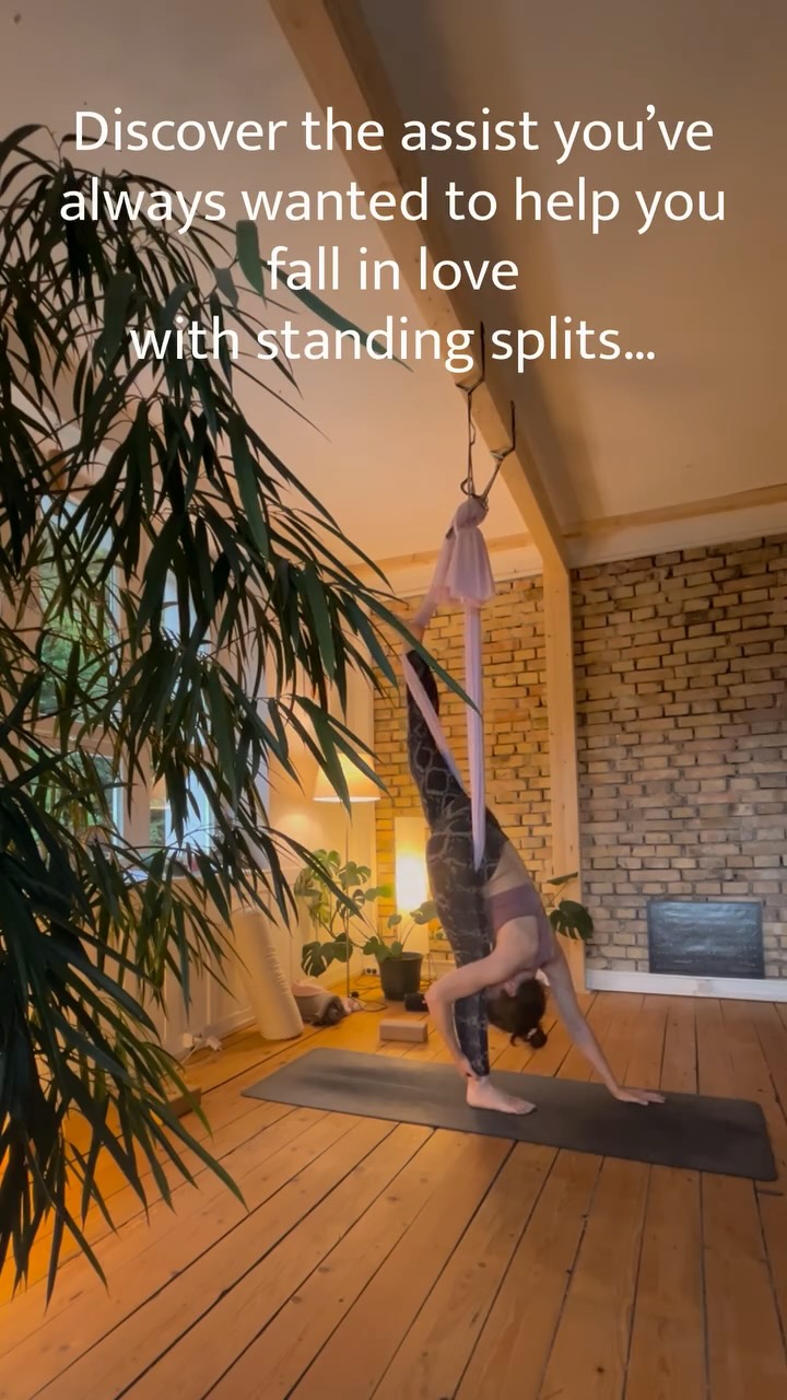 Standing splits and I have a complicated relationship. 😅
If you practice the pose with the hips truly squared, even though we all know it is not about how high the back leg can lift, it can still feel frustrating when that back leg just doesn’t want to lift as high as you’d like. I know that feeling well…
With a teacher’s assistance, it’s often easier to find a little more length, stability, and height. But when a teacher isn’t around, the aerial hammock can be an amazing prop. It supports the lifted leg, helps keep the hips squared, and allows you to explore a deeper, more authentic version of the pose.
The result? A surprisingly intense but enjoyable stretch, lots of awareness, and honestly… a lot of fun.
If you’re curious to experience it yourself, come join one of my aerial yoga classes at Le Studio Steinbach and give it a try. ✨
#AerialYoga #StandingSplit #YogaPractice #YogaProps #Flexibility