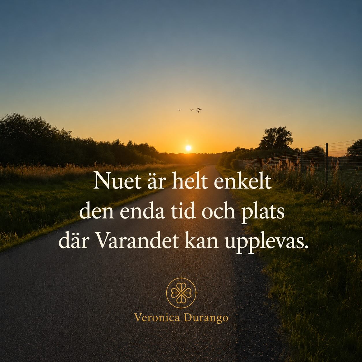Vi lever i en värld som ständigt ber oss att göra. Vi planerar för morgondagen, analyserar gårdagen och fyller våra sinnen med ett ständigt snurr av tankar, måsten och identiteter. Mitt i allt detta görande är det lätt att glömma bort det mest grundläggande vi har: vårt varande.
Varandet är inte en prestation. Det är inte dina framgångar, dina misslyckanden, din personlighet eller det biologiska arv du bär på. Varandet är det som blir kvar när du skalar bort allt detta. Det är det tidlösa, det tysta inom dig som bara observerar livet utan att döma det.
När vi söker frid letar vi ofta på fel platser. Vi letar i framtiden, i hopp om att nästa mål ska göra oss kompletta. Men sanningen är att du redan är komplett. Och att landa in i varandet handlar då om att vara du hel och komplett.
Så vad skulle hända om du valde att flytta fokus från livets yttre omständigheter till den djupa, levande närvaro som finns här och nu, inom dig?
Den nakna sanningen är att i det rena varandet finns ingen oro för vad som ska komma, och ingen ånger över det som varit.
Där finns bara en djup, ordlös frid. Du behöver inte bevisa något. Du behöver bara vara. Och från denna plats så skapar du den form som vill uppleva livet.
Kärlek💚
Veronica
#soulandpathfinding#livet#life#lev#vara
