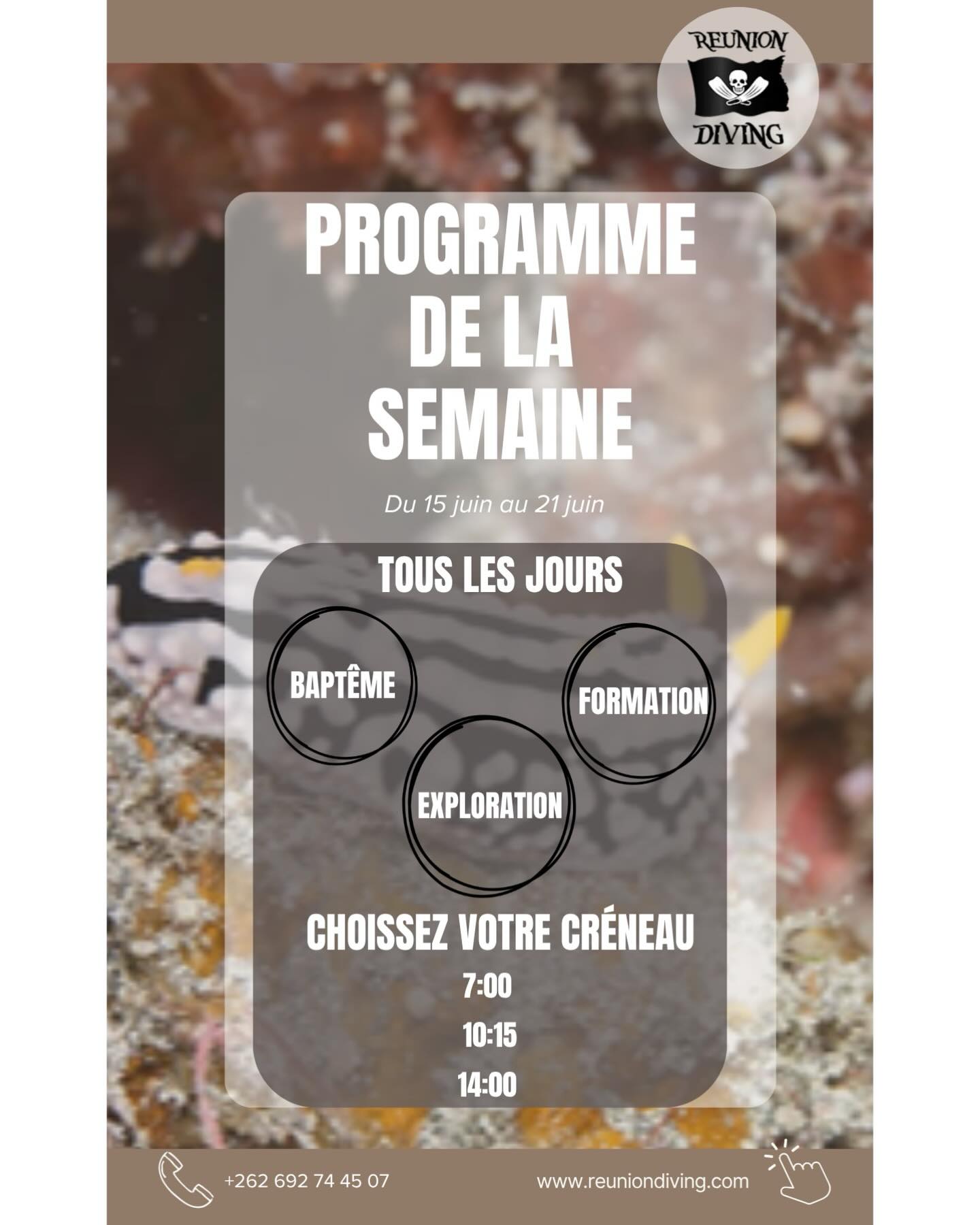 đ€ż Le programme de la semaine est arrivĂ© !
Que vous soyez dĂ©butant, plongeur confirmĂ© ou simplement passionnĂ© par le monde sous-marin, nous vous attendons pour de nouvelles aventures sous lâeau.
đ
Découvrez toutes les sorties et activités prévues cette semaine.
đ© RĂ©servations et renseignements en message privĂ© ou auprĂšs de lâĂ©quipe du club.
Ă trĂšs vite sous la surface ! đđ
#Plongée #ClubDePlongée #ScubaDiving #OceanLovers #UnderwaterWorld