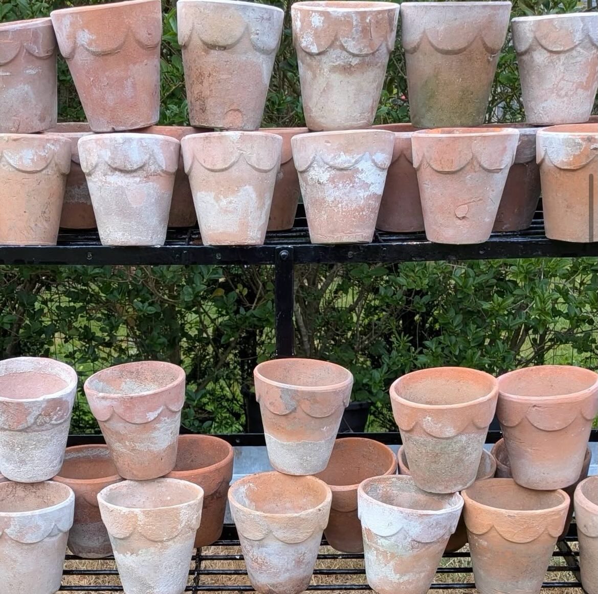 Introducing our Summer Brocante Exhibitors
@billspots1
One of the finest collections of garden Brocante, vintage terracotta pots, garden furniture & decorative planters 🌿
You’ll be able to meet Bill @billspots1 again when he joins us this summer @moylescourt with his latest finds on B/H Monday 31st August 🌿
Save the date!
Monday 31st August 🎪
10 - 3pm
Moyles Court School
Nr Ringwood
New Forest
Garden Brocante | Vintage | Terracotta Pots | Garden Design