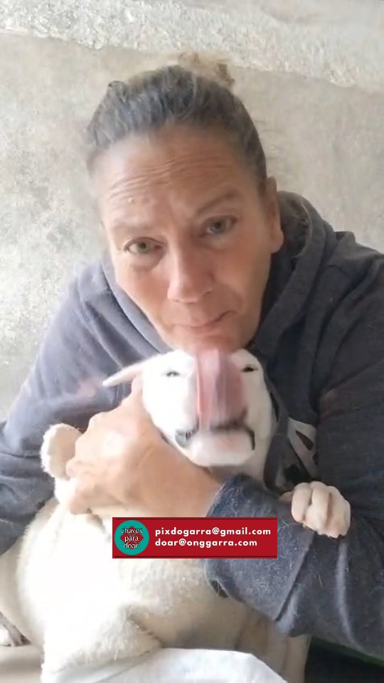 Nossa colaboradora Luciana veio pedir pelos Garrinhos com nosso príncipe Henfil.
Sem sua ajuda não iremos conseguir sobreviver e perderemos nosso principal abrigo.
As doações estão caindo assustadoramente e temos sido obrigadas a escolher entre pagar contas ou comprar medicamentos e ração
Por favor não nos abandonem amigos
#garranimal #onggarra #abrigo #henfilgarrinho #cachorro