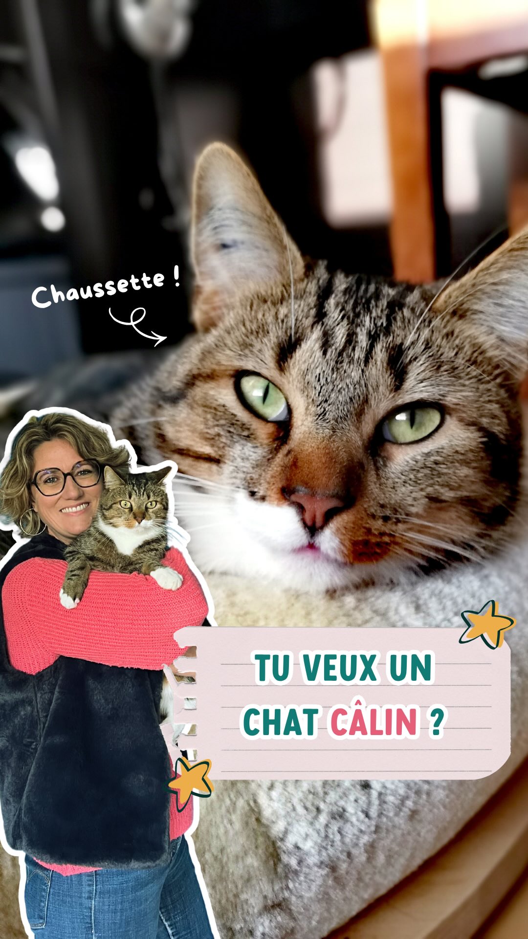 ERREUR CLASSIQUE → Caresser son chat dès qu’il s’approche ! 😜
C’est pourtant l’une des raisons qui peuvent le pousser à repartir quelques secondes plus tard.
Beaucoup de chats recherchent avant tout votre présence plutôt que le contact physique. En respectant ce besoin, ils auront souvent tendance à rester plus longtemps à vos côtés... voire sur vos genoux.
➡️Essaie ce soir : lorsqu’il vient près de toi, propose-lui simplement ta main avant de le caresser.
Et dis-moi en commentaire : ton chat est plutôt « proximité » ou « caresses » ? 👇
#relationchathumain #chatcalin #catmom #rennes #conseilschat illeetvilaine
Tu ne me connais pas ?
Je suis Stéphanie Le Gendre, comportementaliste félin qui t’aide à retrouver une relation sereine avec ton chat.
Pipis sur le canap’, miaulements qui te rendent dingue, attaques sans crier gare sur les mollets, p’tit glouton obsédé par ses croquettes (ou ton poulet !), je te donne un plan d’action pour améliorer ta situation et retrouver un chat apaisé.
Appelle moi ou laisse moi un message et on parle de ta situation et comment je peux t’aider !