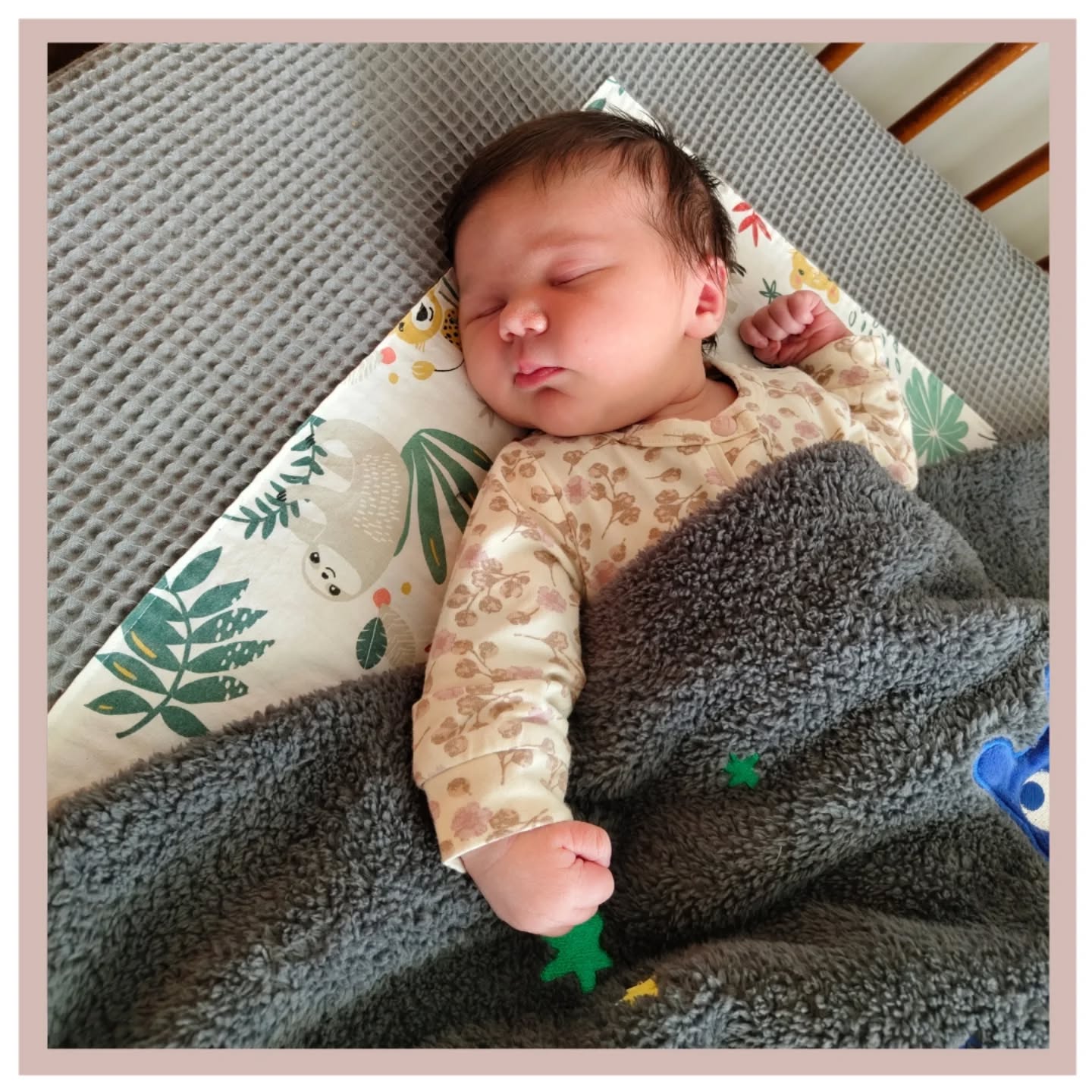 WELKOM ALICE!🌸
Er is op 31-5-2026 een prachtig meisje geboren. Ze heet Alice en wat heeft ze een prachtige bos met haren!😍 Ze woog 3980 gram bij een zwangerschapsduur van 40+4 weken.
We kennen papa Cas en mama Liesbeth nog van de zwangerschap van haar grote broer Miles. Tijdens deze zwangerschap mochten we samen ontdekken dat er een dochtertje op komst was.🤰🏽
We hielden rekening met een snelle bevalling, maar Alice bleek nóg meer haast te hebben dan verwacht.🤭 In de nacht braken de vliezen en kort daarna startte de weeën. Na het telefoontje van Cas ging Dominique op weg. Bij aankomst had Liesbeth al persdrang en nog geen 10 minuten later werd hun prachtige dochter geboren.🩷 Zo snel dat we het allemaal nauwelijks konden bevatten!
Na de geboorte liet de placenta wat langer op zich wachten. Daarom hebben we om hulp gevaagd van de collega’s uit het ziekenhuis.🏥 De moederkoek is op de operatiekamer verwijderend en daarna kon het echte genieten beginnen!🥰
Lieve Liesbeth, Cas & Miles,
Gefeliciteerd met jullie dochtertje en zusje Alice. Wat hebben jullie het ontzettend goed gedaan samen! Veel geluk met jullie mooie gezinnetje! Liefs, Team LEV. 🤎
#thuisbevalling #geboorte #welkomkleintje #verloskundige #zwangerschap