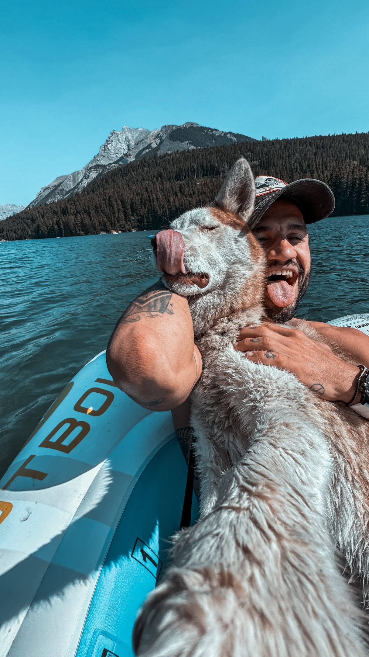 A melhor viagem começa antes do embarque.
Começa quando sabemos que quem amamos também está bem cuidado.
Entre paisagens, aeroportos e novas experiências, existe uma tranquilidade que não tem preço: saber que nossos dogs continuam com a rotina e a alimentação que merecem.
@snowdogecat ❤️