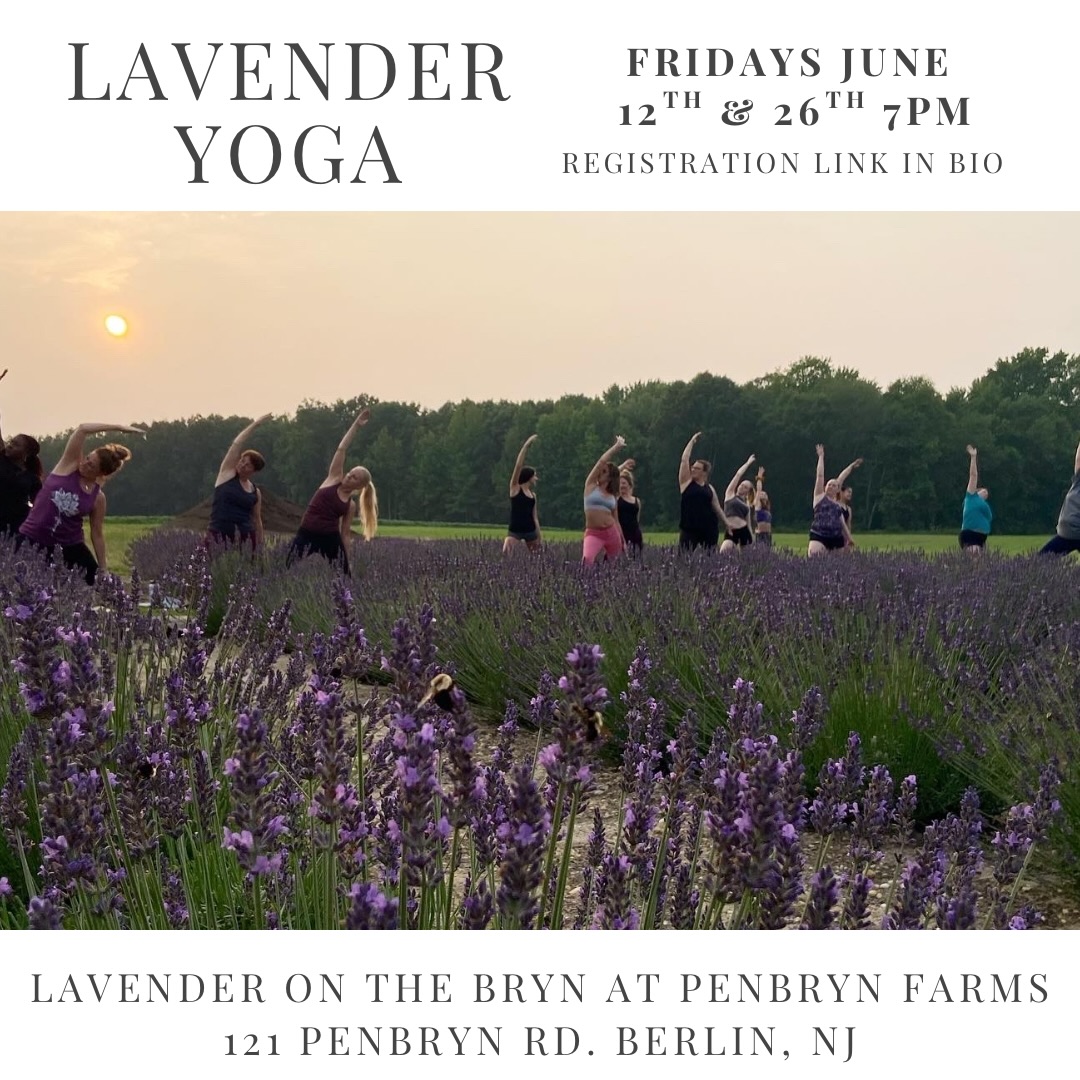 ⭐️💜YOGA IN A LAVENDER FIELD💜⭐️
🪻THIS FRIDAY🪻
Join us for a beautiful evening of movement, stillness, and oneness surrounded by lavender, wild flowers and the grounding sounds and sights of nature. This is always a heartfelt, calming, yet invigorating experience.
Lavender on the Bryn is located on Penbryn Rd. in association with Stella’s farm
This is a great night to come with friends or just by yourself. Bring your mat, a towel or blanket and water, and get ready for a blissful evening of self care.
Class will end with an extra long savasana and guided meditation.
$30.pp
Reserve your spot!
Guided By: Gwyn
When: 6/12 & 6/26
Time: 7:00-8:15pm.
Cost: $30.
Location: Lavender On The Bryn
121 Penbryn Rd.
Berlin, NJ 08009