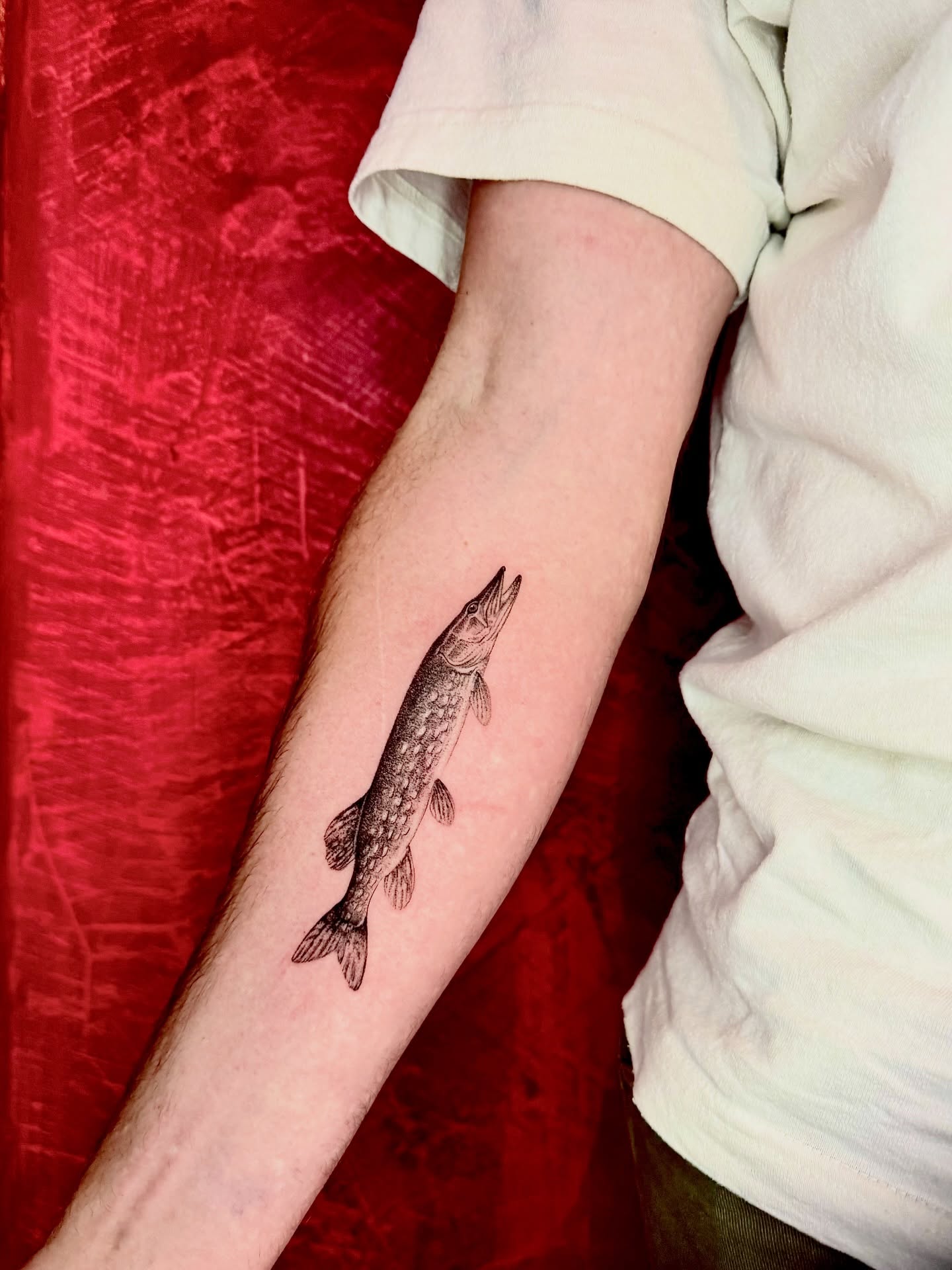 🎣🖤 The devil is in the details.
This beautifully detailed pike tattoo was created by our talented artist Ilaria, capturing every scale, fin and texture with incredible precision.
For the anglers, the nature lovers, and anyone who appreciates timeless black & grey work — this one’s a catch. ⚡️
✨ Tattoo by @catenailaria
📍 SixtyInk, Soho – London
🚶 Walk-ins welcome every day
📩 DM us to book your next piece
Tag the friend who’s always saying “just one more cast…” 🎣👇
#SixtyInk #IlariaTattoo #FishingTattoo #PikeTattoo #BlackAndGreyTattoo