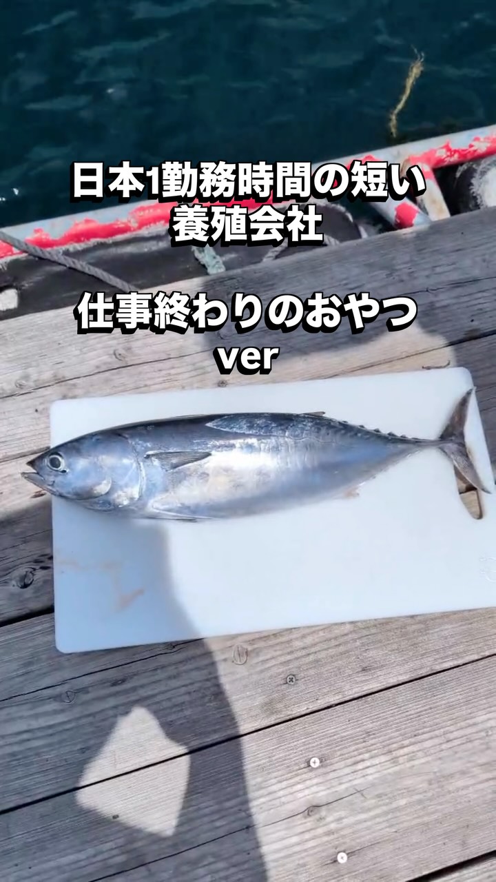 この魚、知ってる?🐟
高知県では〇〇と呼ばれる見た目は普通のカツオ、
だけど鮮度が命!
なかなか食べる機会の少ない美味しいお魚🐟
正解が気になる、食べてみたい、この魚知ってる!
という人はコメント欄で教えてね!
#柏島
#高知県
#大月町
#はやぶさ水産
#漁師飯