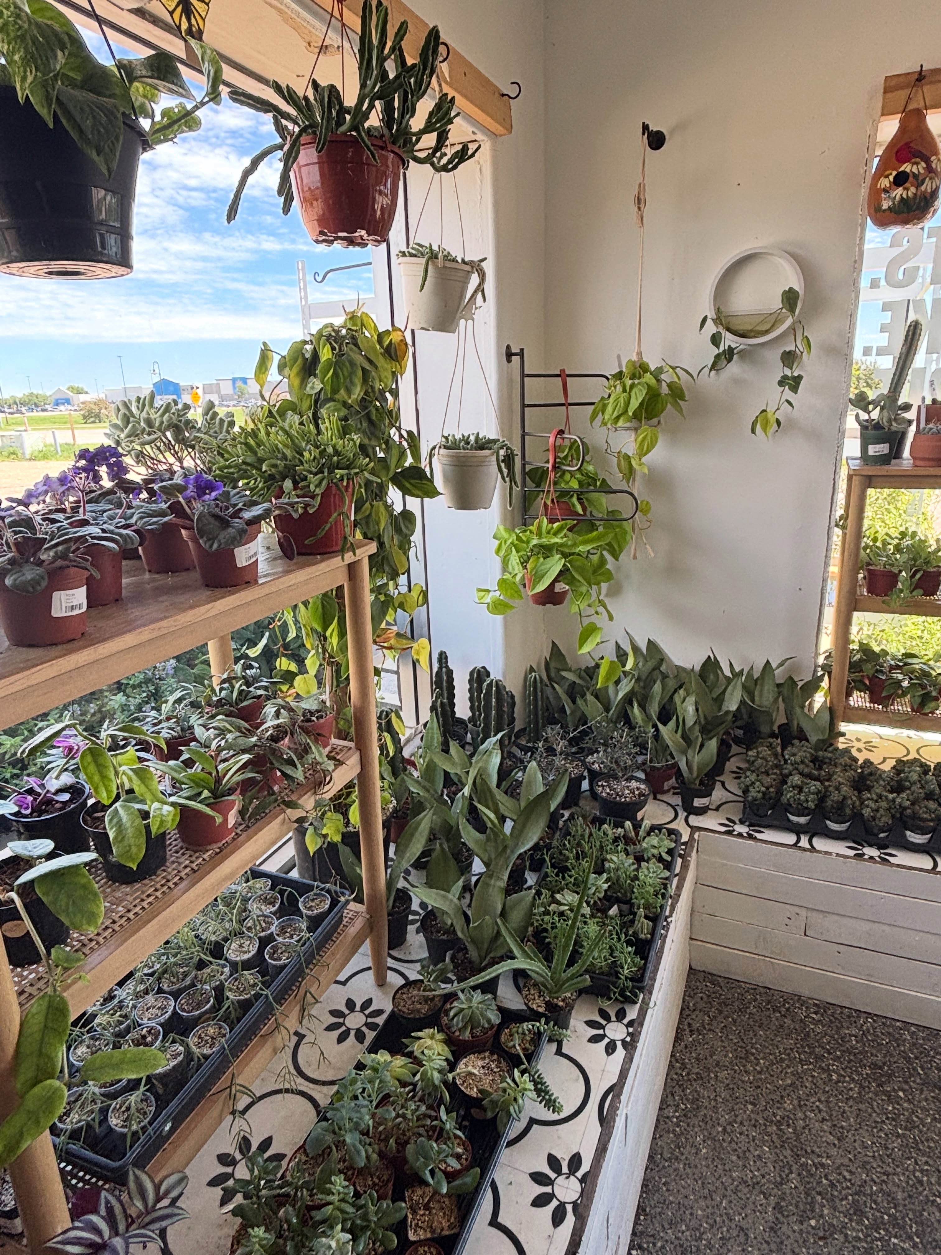 Good vibes grow here. 🌱
Open 12-5pm Sundays