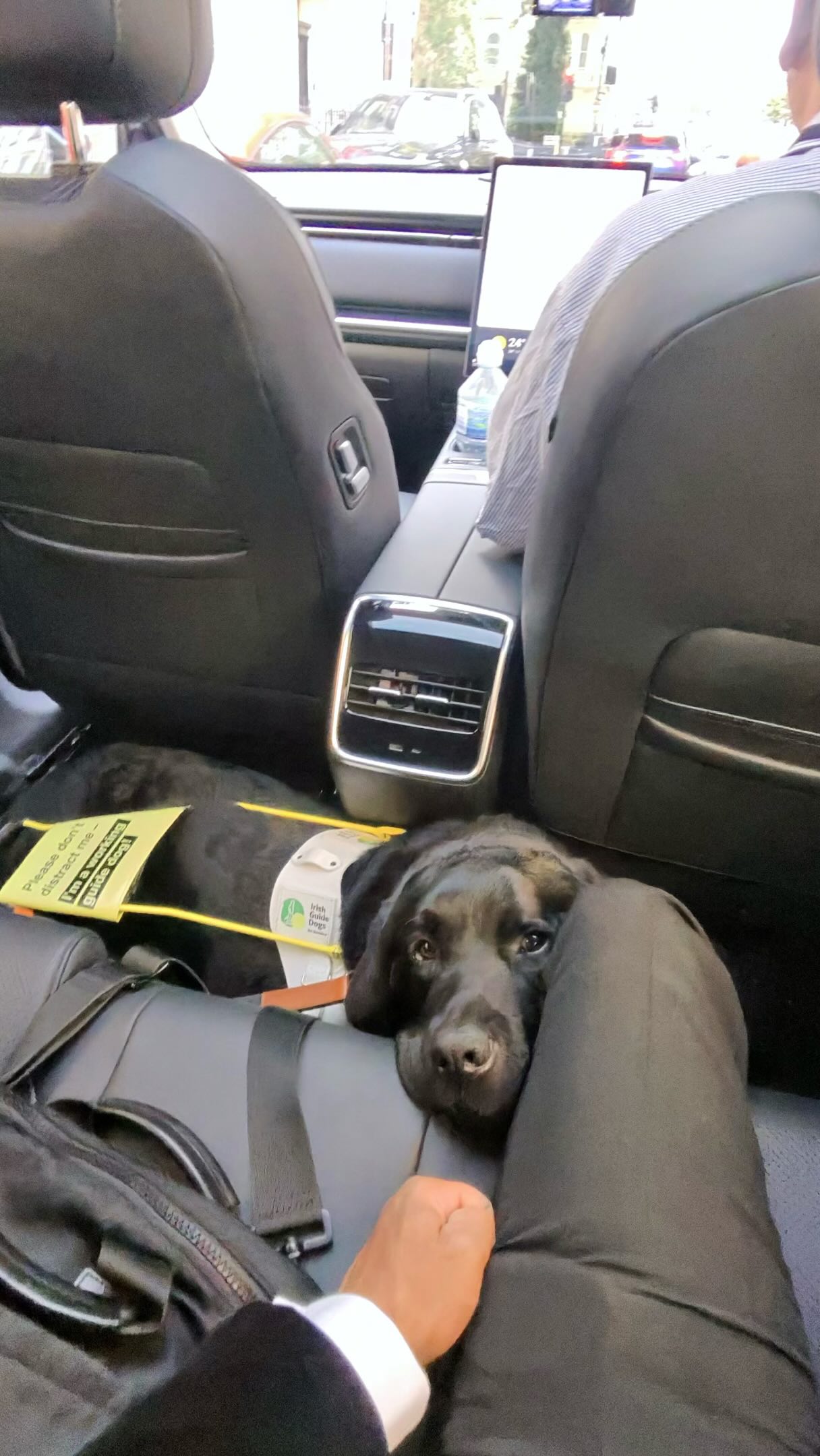 Watch to the end to see what really happened on our journey 👀 Sometimes our first reaction to a situation isn’t always the right one.
On approaching this Uber with Quark, the driver said, “Sorry, I don’t have room for your dog”.
At that moment, most people would assume this was going to be another story about a guide dog being refused.
But it wasn’t.
I explained that Quark is a guide dog and that assistance dogs are legally allowed to travel in Ubers. The driver immediately agreed and helped make space for him in the footwell.
What followed was a genuinely lovely conversation.
It turned out the driver loves dogs. What he meant was that he didn’t have a bed or crate and was worried about whether Quark would be comfortable. By the end of the journey he was giving Quark plenty of fuss and joking that he’d happily take him home because he was so well behaved.
This wasn’t discrimination. It was a misunderstanding.
Not every barrier comes from bad intentions. Sometimes people simply don’t know. Sometimes a calm conversation creates more understanding than anger ever could.
Knowing your rights matters. Standing up for yourself matters. But so does recognising when someone is willing to listen and learn.
Small conversations can change perceptions. And sometimes they can turn an awkward start into a positive ending.
#GuideDog #DisabilityAwareness