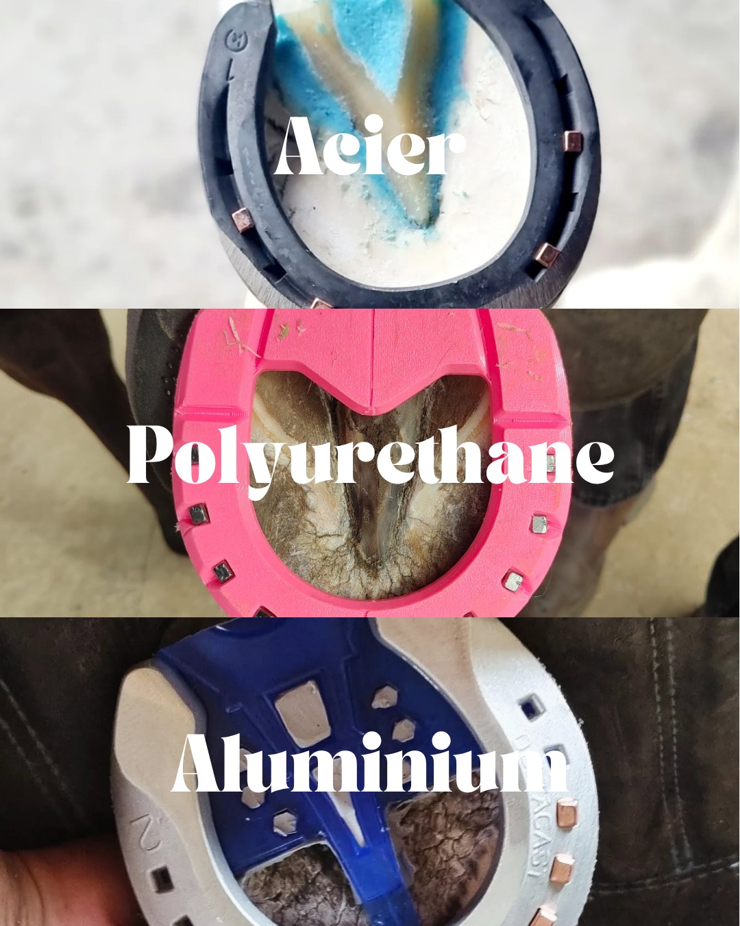 🐴 Acier, aluminium ou polyuréthane — quelle ferrure pour ton cheval ?
On compare souvent ces 3 matériaux sur le prix.
Mais la vraie question, c'est ce qu'ils font sous le pied de ton cheval à chaque foulée.
⚙️ Acier → résistant, transformable par le maréchal, mais rigide. Zéro absorption des chocs.
🔩 Aluminium → plus léger que l'acier, mais toujours rigide. S'use vite sur les sols durs.
🟤 Polyuréthane → 6 à 7× plus léger que l'acier, absorbe les chocs ET restitue l'énergie à chaque foulée. Jusqu'à 2 reposes, soit 14 semaines d'utilisation.
Le vrai avantage du plastique, c'est pas juste la légèreté. C'est la biomécanique : le pied travaille comme il est censé le faire.
👉 Article complet sur notre blog — lien en bio.
www.lesabotfrancais.fr/post/fer-plastique-acier-ou-aluminium-quelle-ferrure-choisir-pour-votre-cheval
#farrier #marechalferrant #equitation #cheval #lesabotfrancais