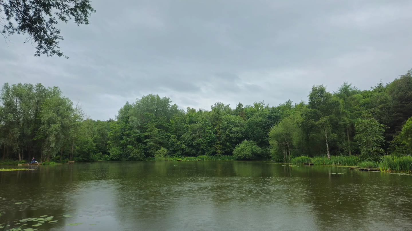 🎣 The weekend is here! Time to relax, unwind, and enjoy a day by the water. We look forward to welcoming you down to the lakes this weekend.
We are open 8am to 8pm
#letsgofishing #anglerlife #coarsefishing #carpfishing #flyfishing