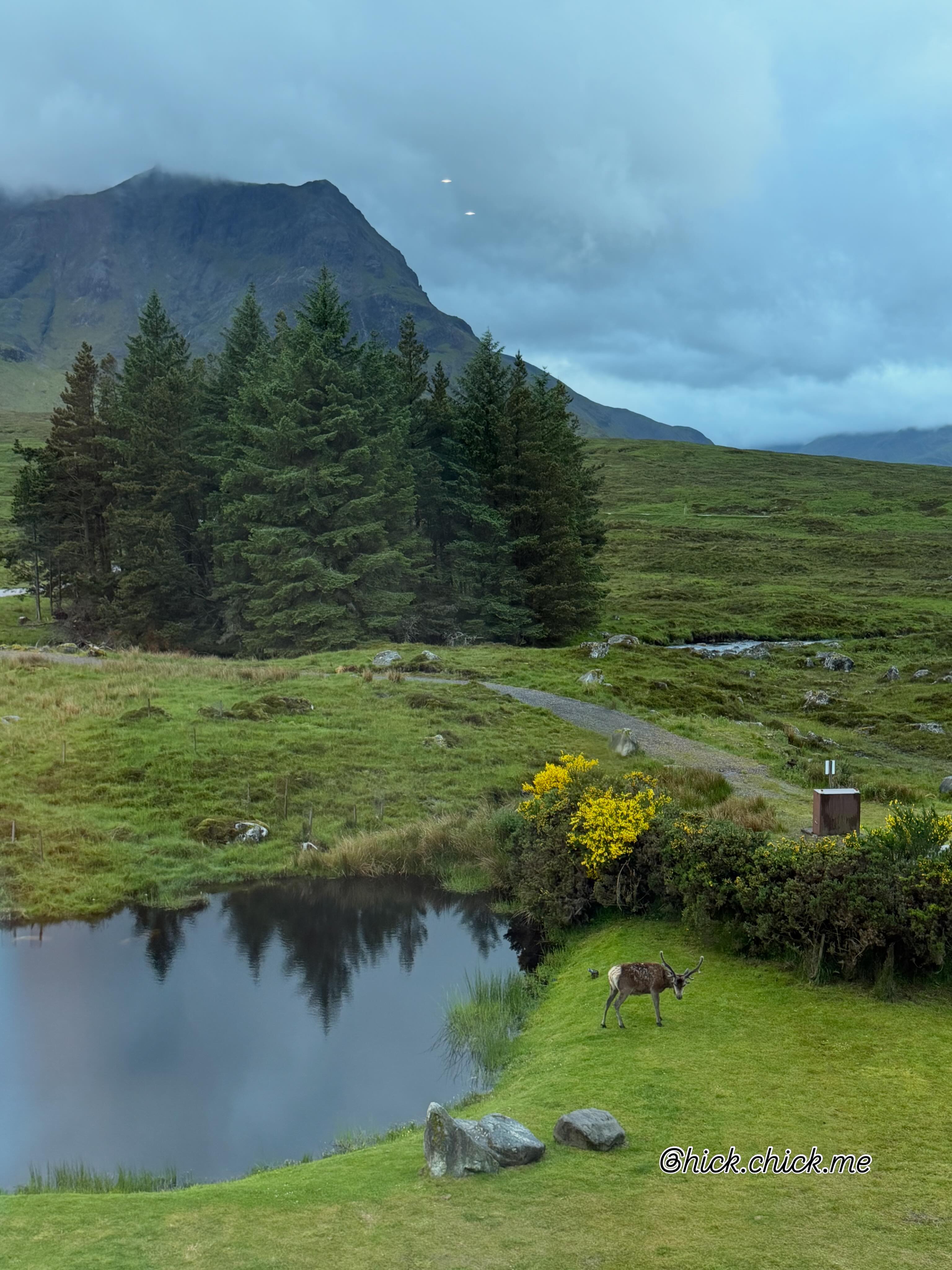 When in Scotland and the group chat says: “If your room is roadside— look outside!” And you see this guy just chillin’ 😍 #scotland #girlstrip #westhighlandway #wildlife
@sarahehauck
@thathikergal
@mommainboots
@hikelikeawoman
@wygirl96
@lmyers39
@mac30girl
@kkayron123
@barancatherine
@shelsssy