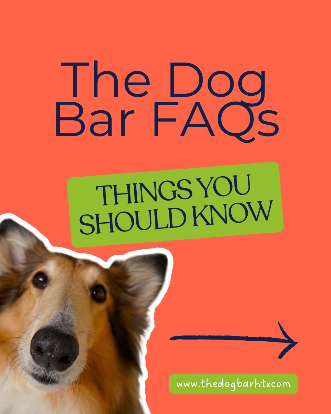 Just a few quick FAQs as we get ready to open our doors soon! 🍻🐶
The Dog Bar is a cozy neighborhood hangout where you can grab a beer, treat your pup to a Puptail, and soak up all the fun Montrose vibes.
Wondering about memberships, leash rules, kids, parties, or what your pup needs to visit? We’ve got you covered!
📖 Check out our full FAQ page at thedogbarhtx.com
Still have questions? Shoot us a DM—we’re always happy to help. We can’t wait to welcome you and your pups soon!
#WhereDogsRunTheBar #TheDogBarHTX #MontroseHouston #DogFriendlyHouston #HoustonDogs DogBarHTX PuptailsAndPints