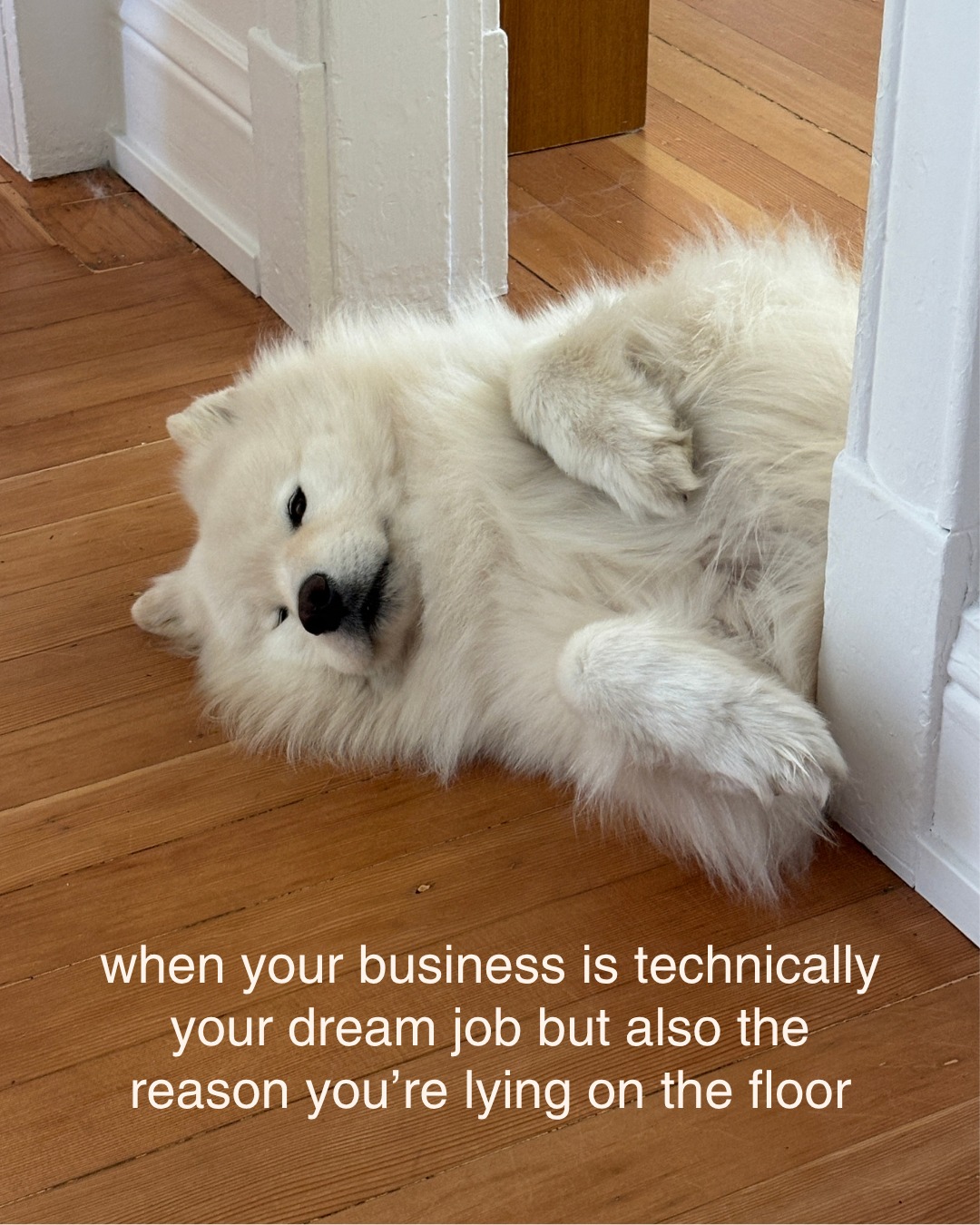 Which one do you resonate with most? ➡️
#businessownerhumor #businessownership #businessmarketing