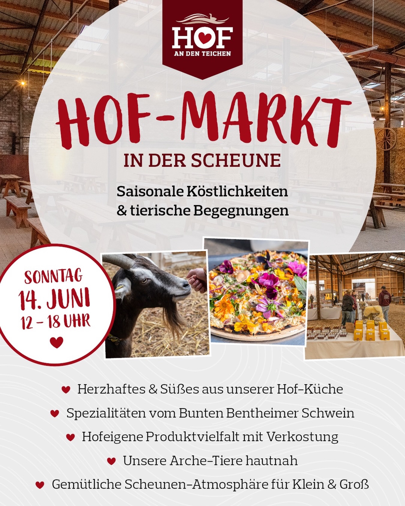 📅 Sonntag, 14. Juni | 12–18 Uhr
🍕 Extra-Highlight: Es gibt wieder frischen Flammkuchen aus dem Ofen!
Wir freuen uns auf den nächsten Hof-Markt mit Dir! Dich erwartet eine große Vielfalt an Leckereien zum Verkosten und Genießen.
Unsere Markt-Highlights für Dich:
- Apfelsaft-Aktion: 3 kaufen, den 4. gratis dazu erhalten!
- Kräuter-Glück: Stell Dir Deine Kiste mit 5 Kräutern für 12 Euro zusammen.
- Verkostung: Entdecke unser leckeres Aioli und probier Dich durch unsere Vielfalt an Apfelsaft- und Sirupsorten.
Klingt gut? Dann komm unbedingt vorbei 🤗